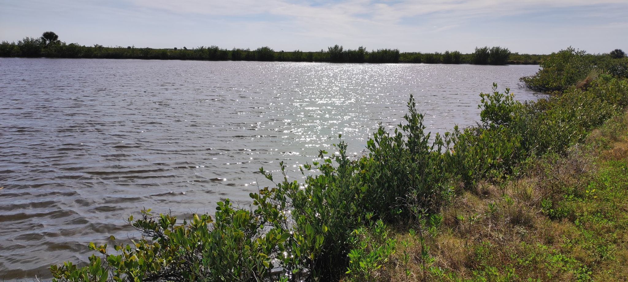 A wide body of water with sun glinting, bordered by green bushes and grass. - Cruickshank Trail