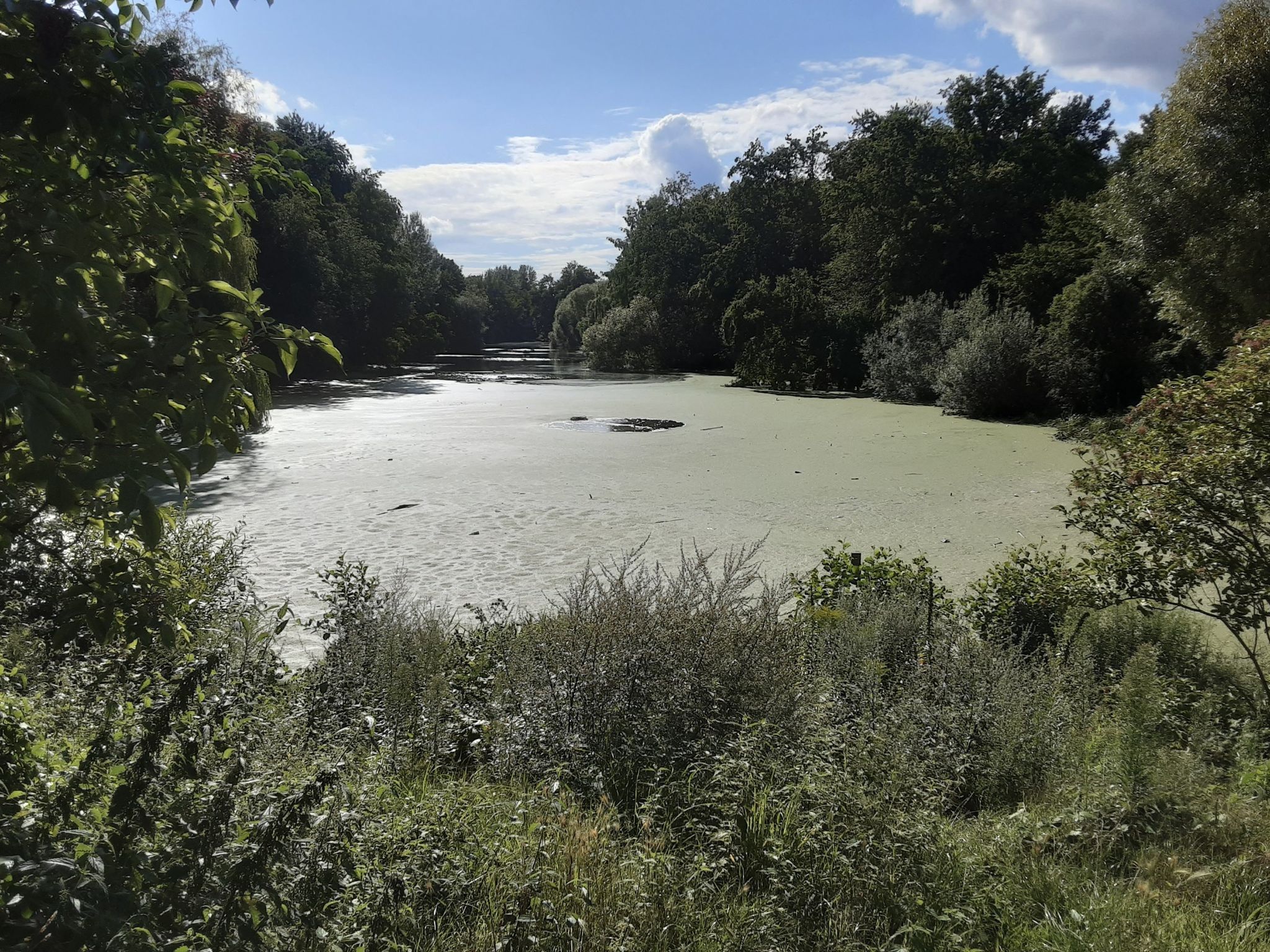 Fennsee