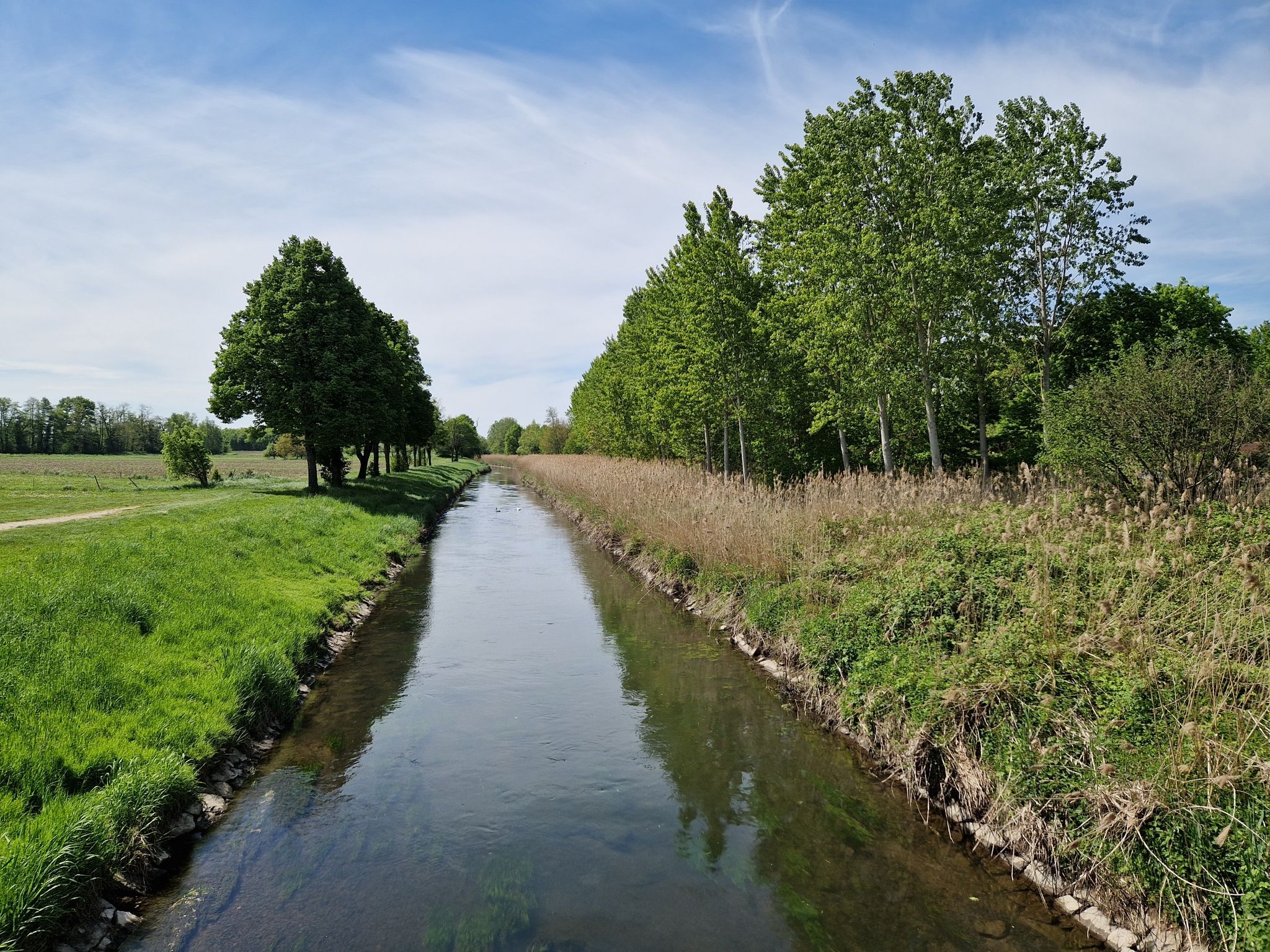 Rheinniederungskanal