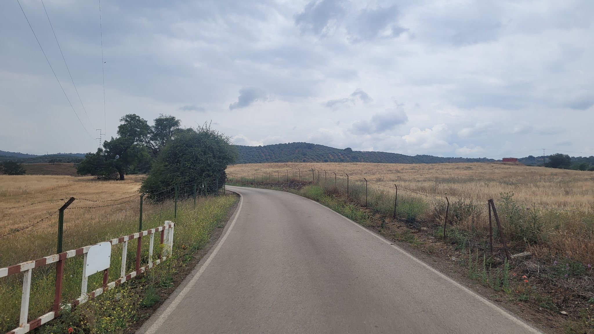 crossing #1