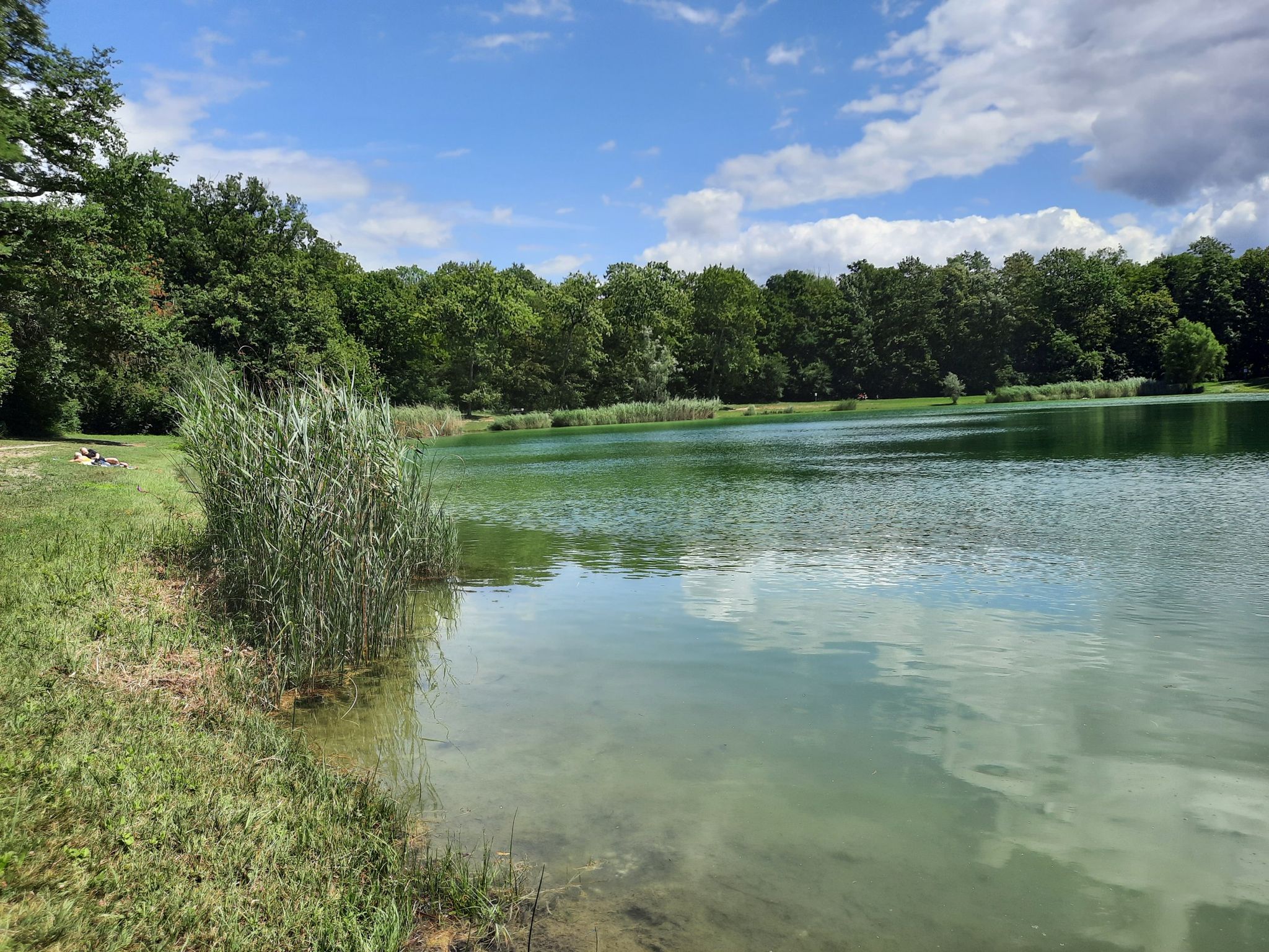 Baggersee Sassbach