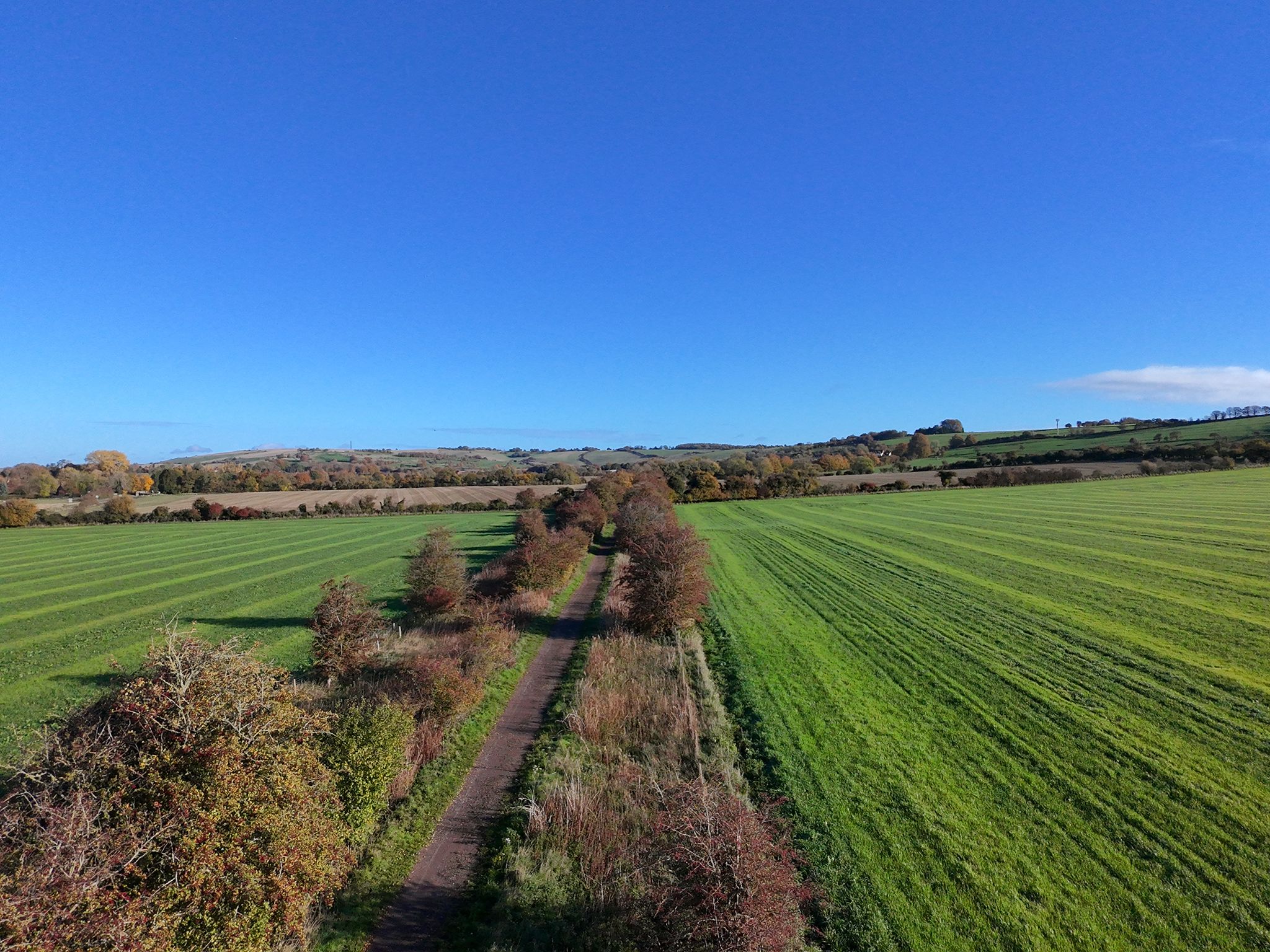 Looking towards Marlborough