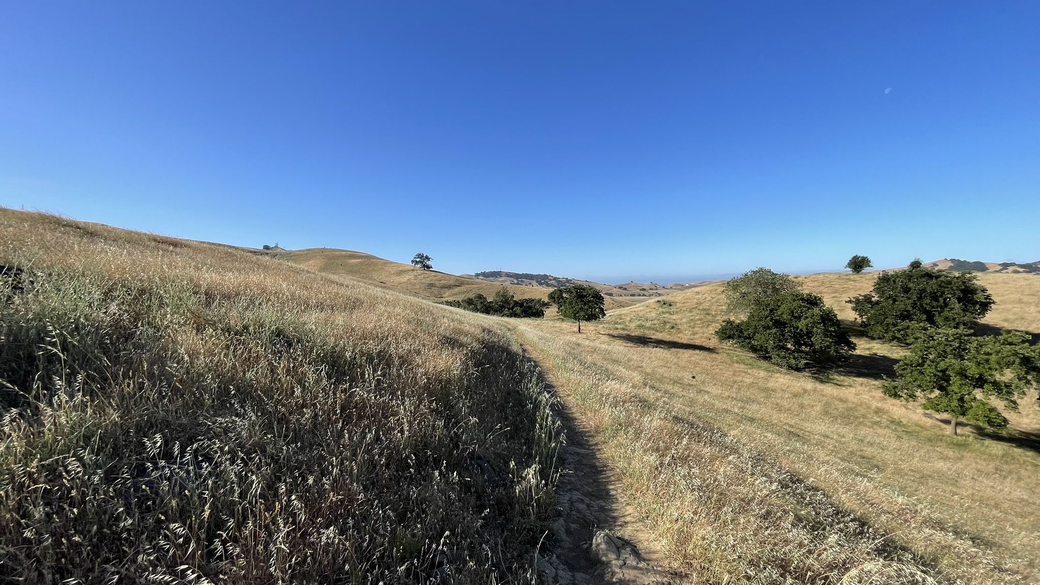 A dirt path through golden grass on rolling hills under a clear blue sky. - Lagoon Valley Park Ridge Trail – Peña Adobe Hill loop from Vacaville