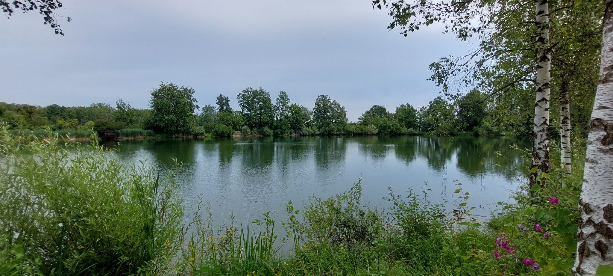 Häuselweiher