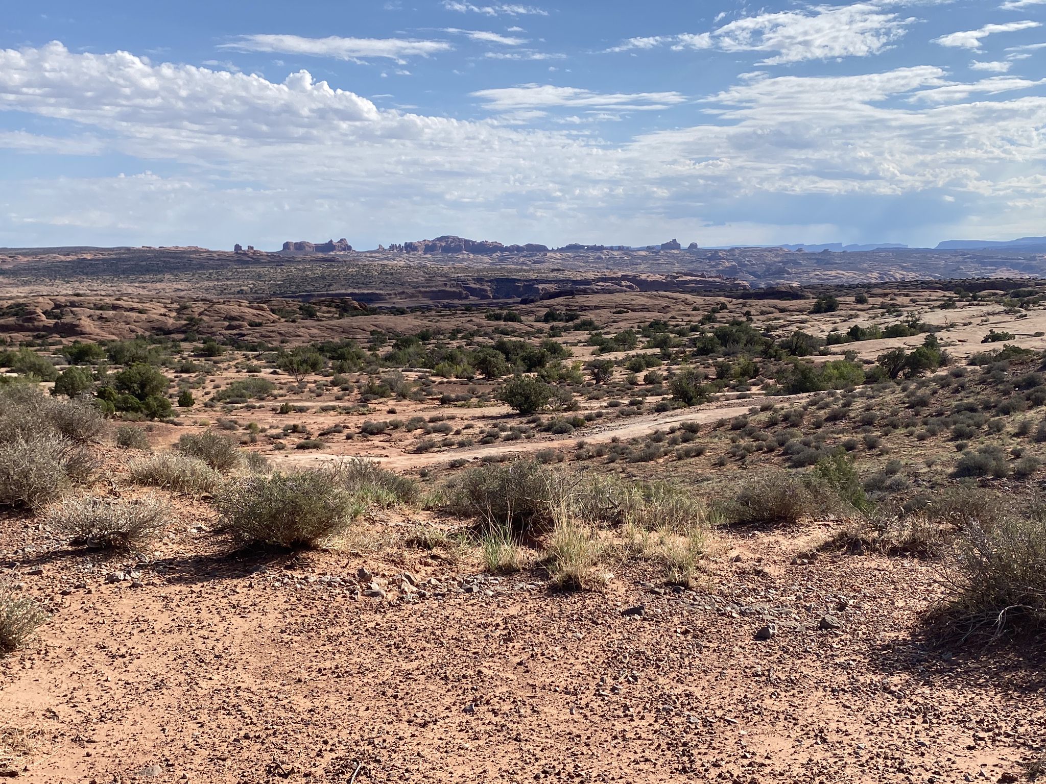 Wide desert landscape with sparse vegetation and distant rock formations. - Bar M Loop Trail