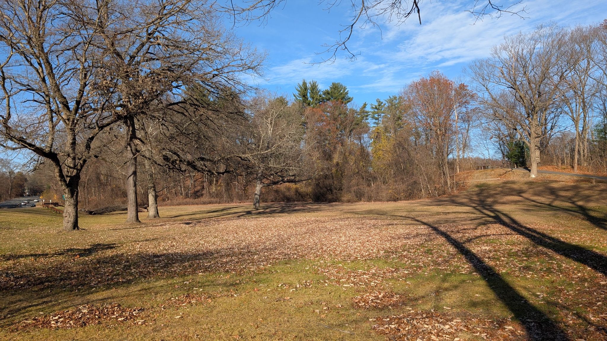 Sunny open field with bare trees and long shadows under a blue sky. - Armonk Loop