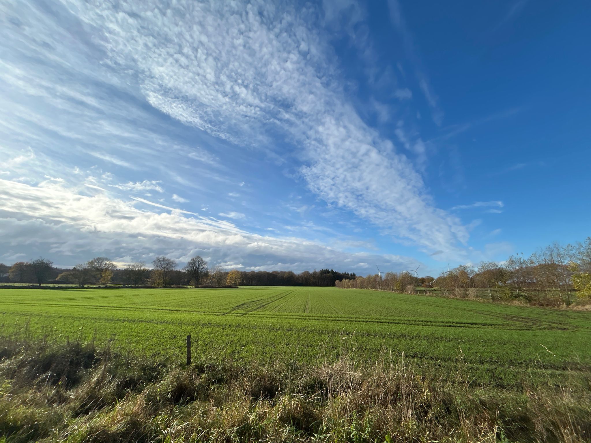 Und jetzt mit fast blauem Himmel. 🤩