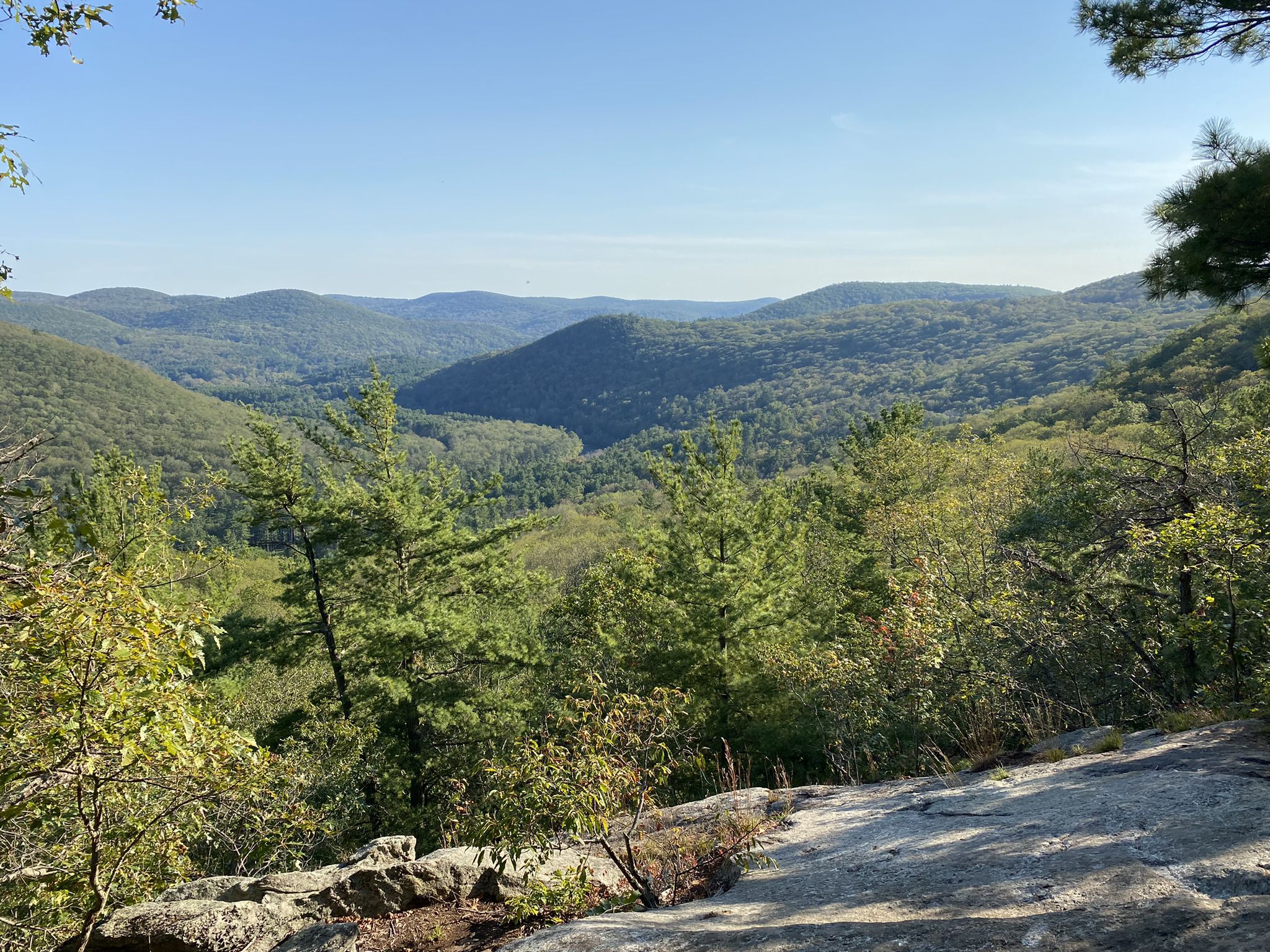 Panoramic view of green forested mountains under a clear blue sky. - Pine Knob Loop Trail