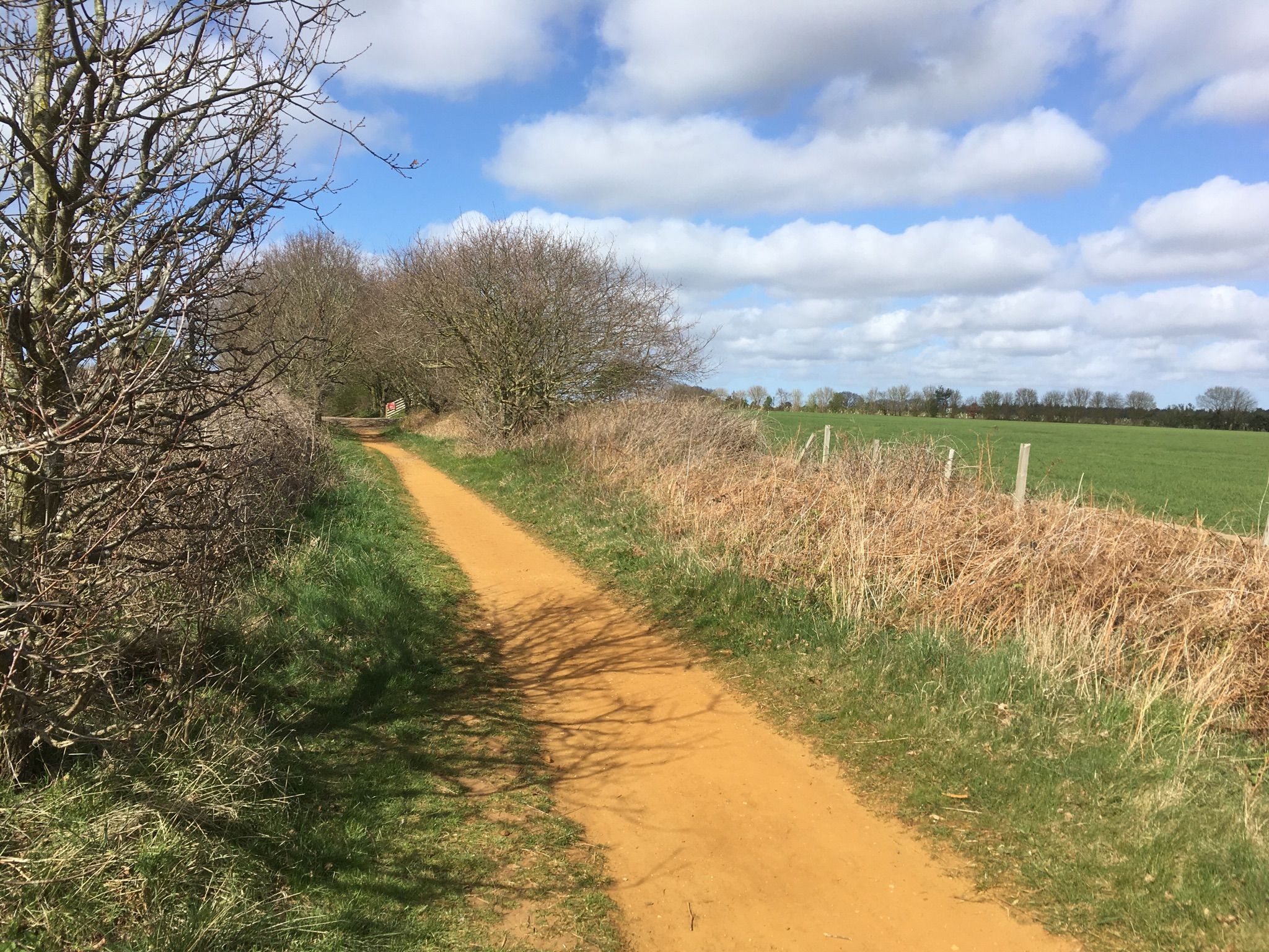 Marriotts way
