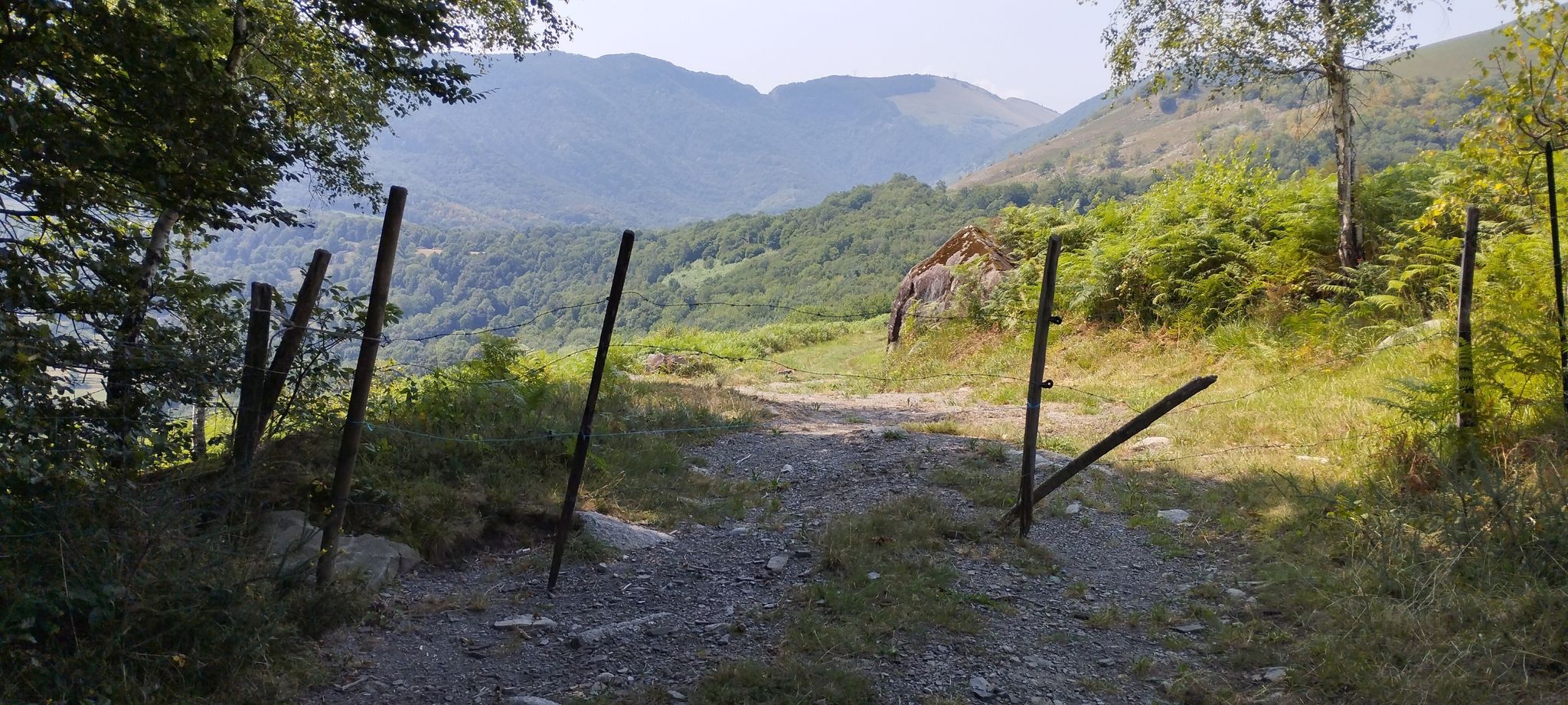 Viehzaun, für Wanderer zum Öffnen