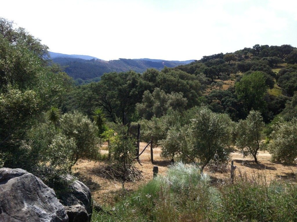 Sierra de la Virgen