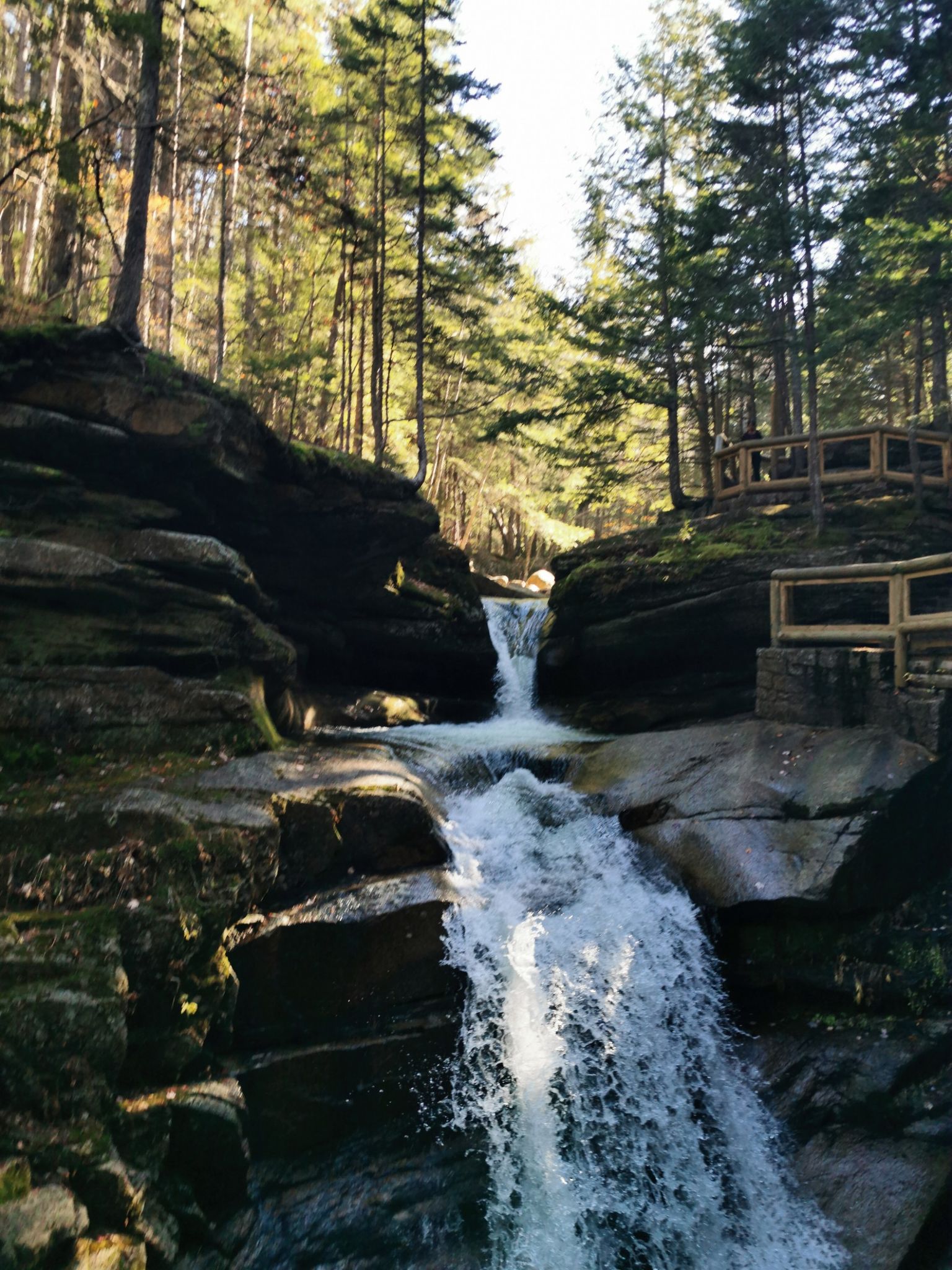 Sunlit multi-tiered waterfall flows through a rocky forest gorge with tall trees. - Sabbaday Falls Trail