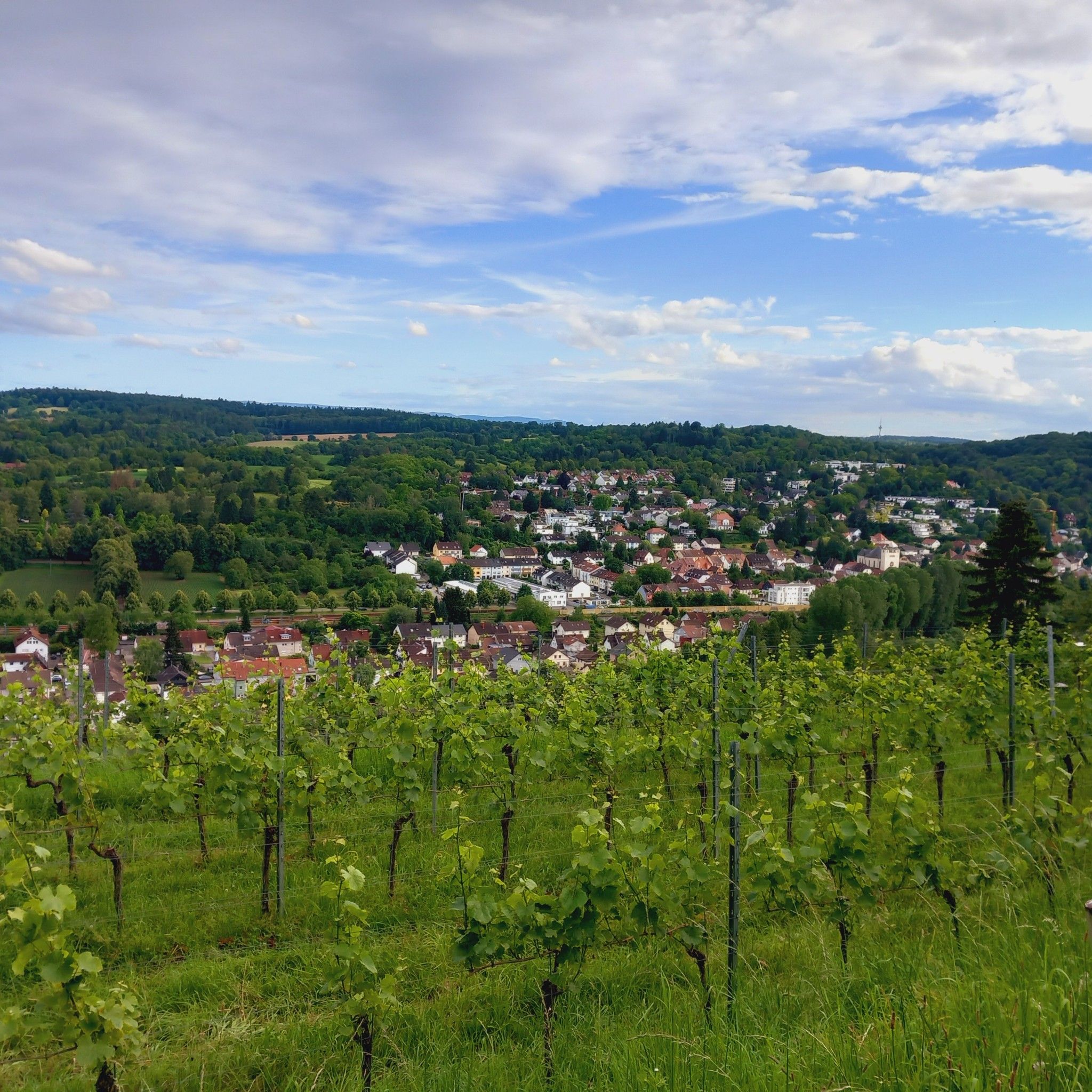 Blick auf Grötzingen