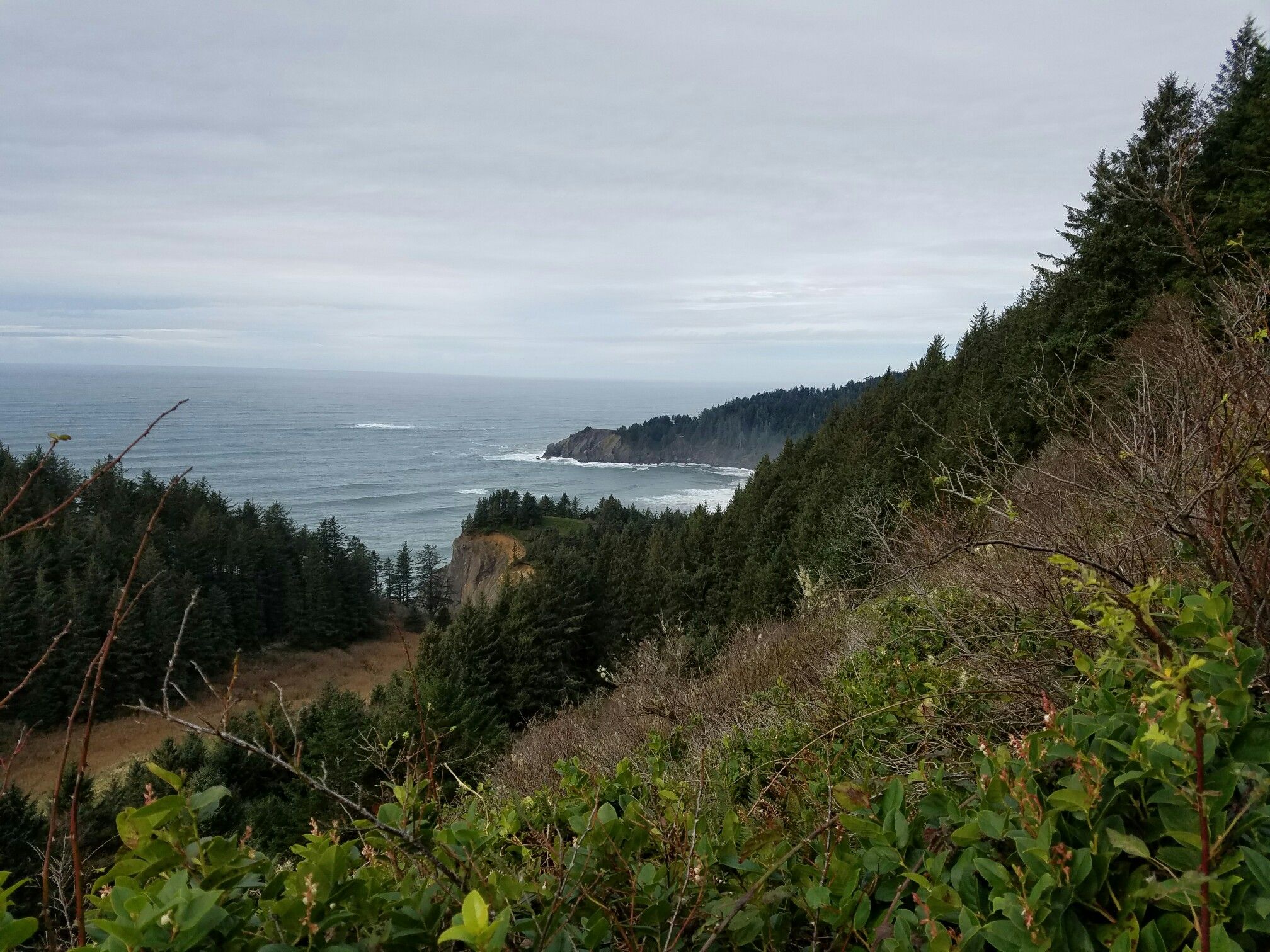 Overcast view of dense evergreen forest, rocky coastline, and ocean waves. - North Neah-Kah-Nie Mountain Trail