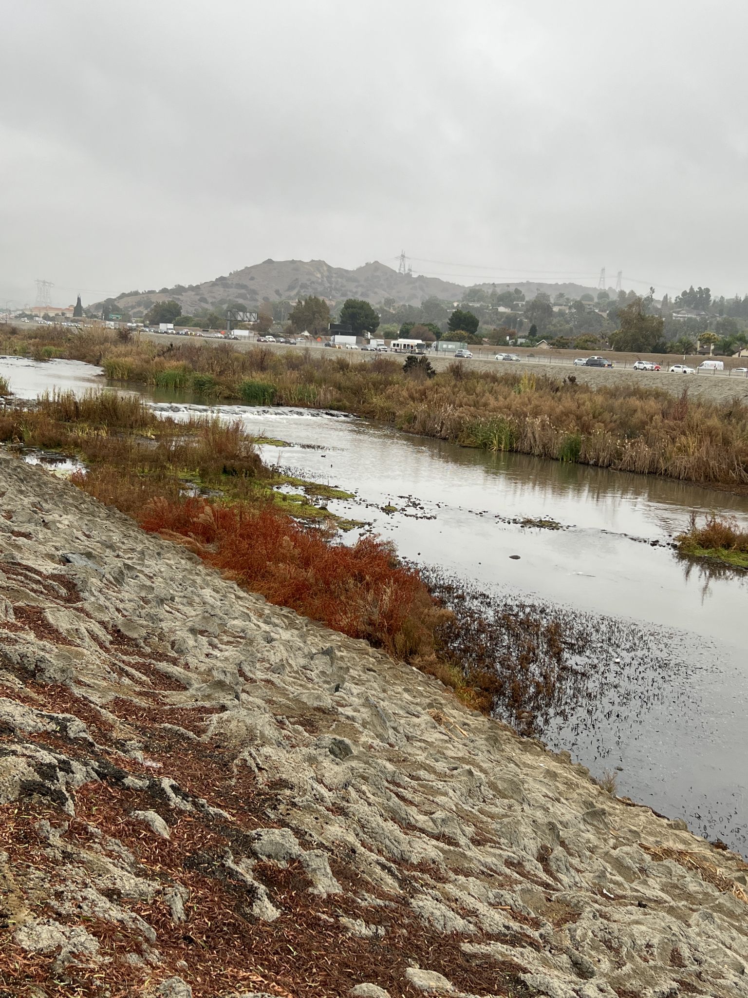 River with marshy banks, distant hills, and an overcast sky. - Santa Ana River Trail