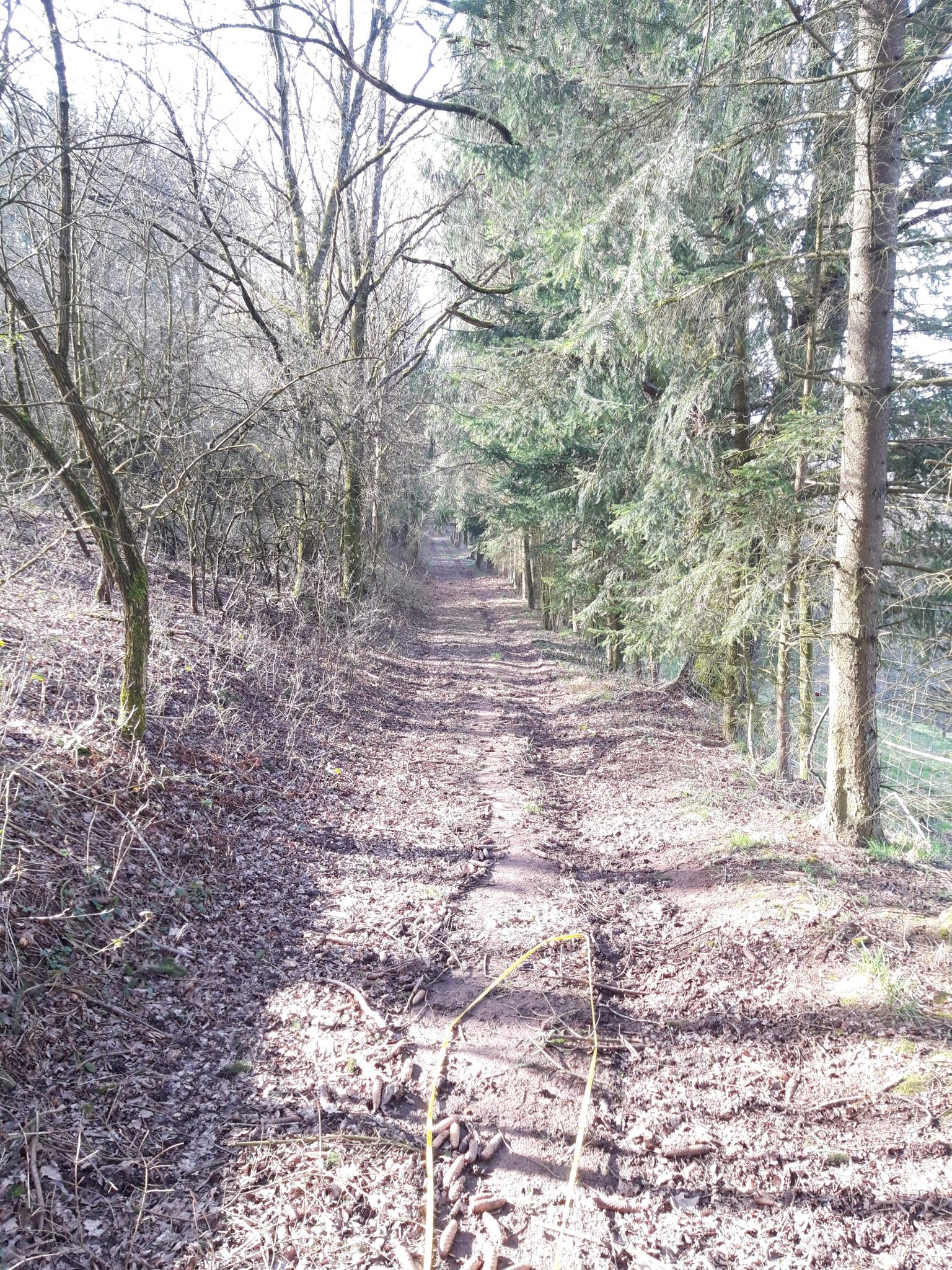 wandern 
