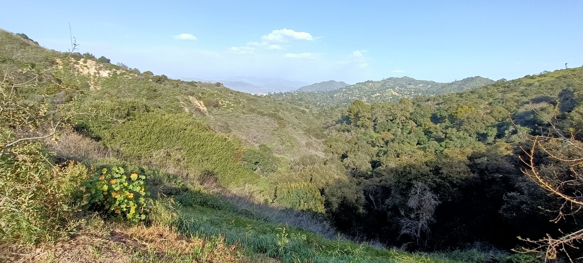 Panoramic view of lush green hills and valleys under a clear sky. - Betty B. Dearing Trail