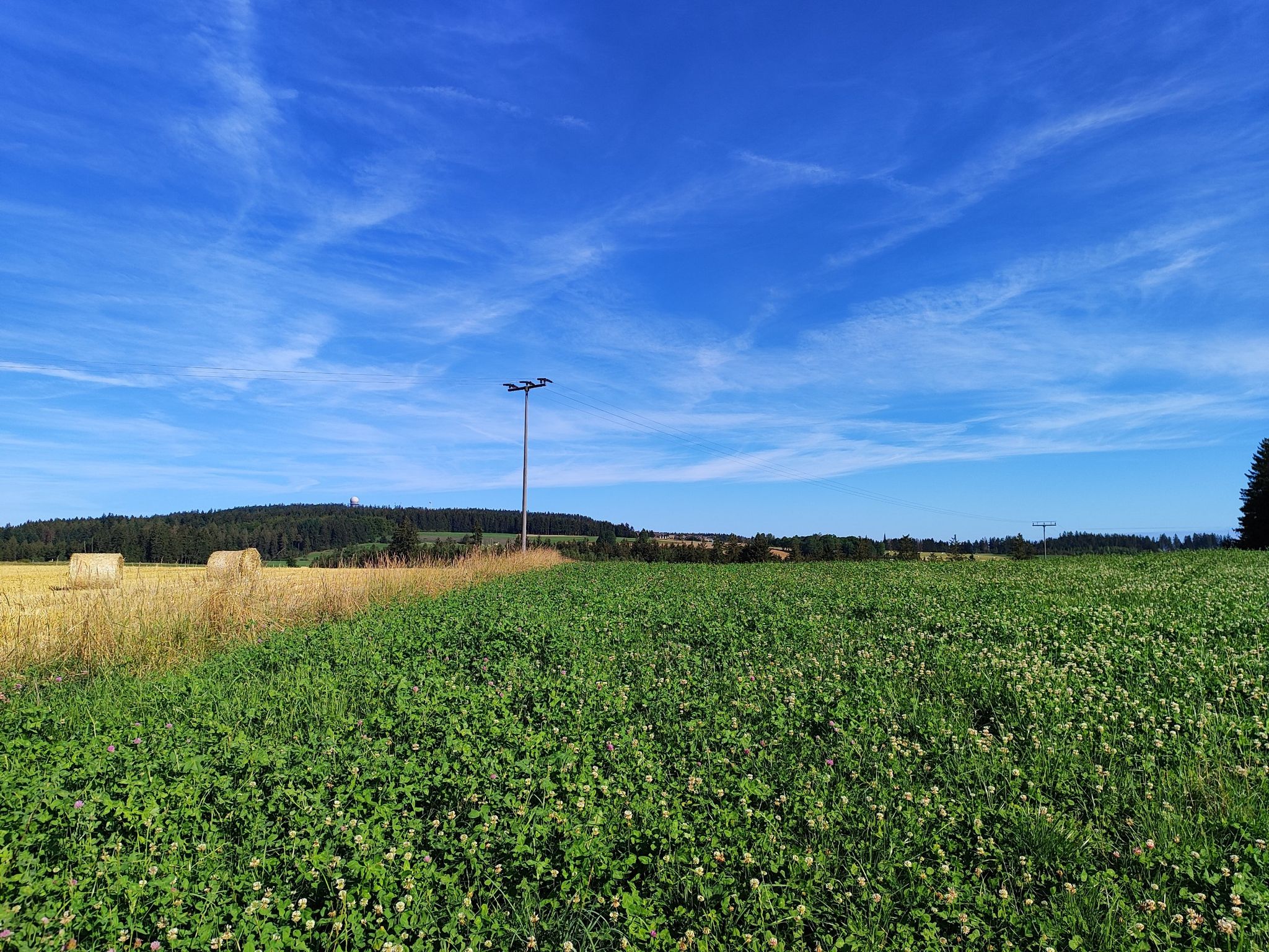 Döbra