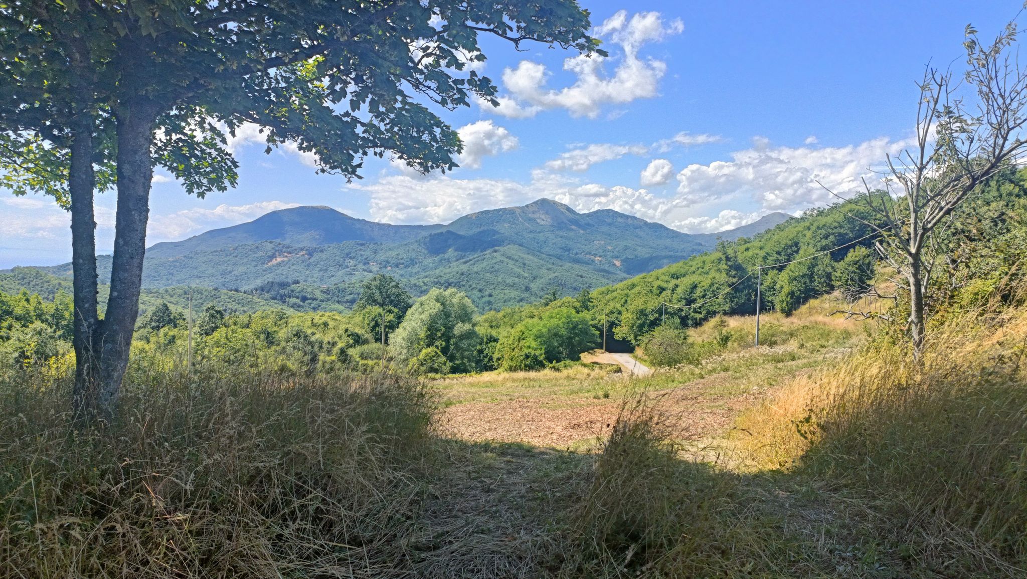 Dal passo della Mola verso S.Pietro in Vara