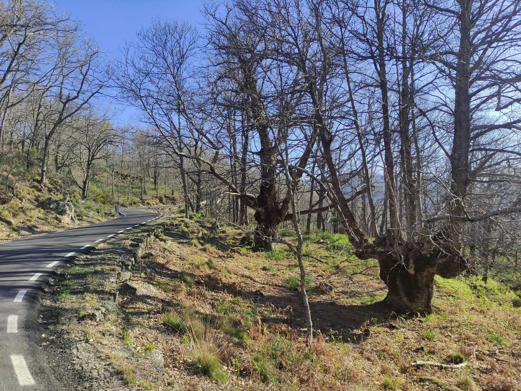 carretera