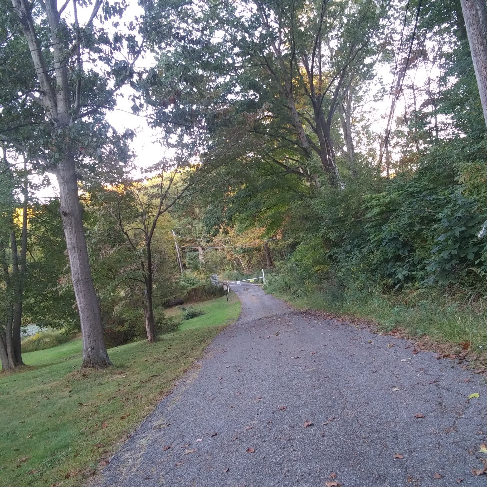 An old closed road near a forest lake
