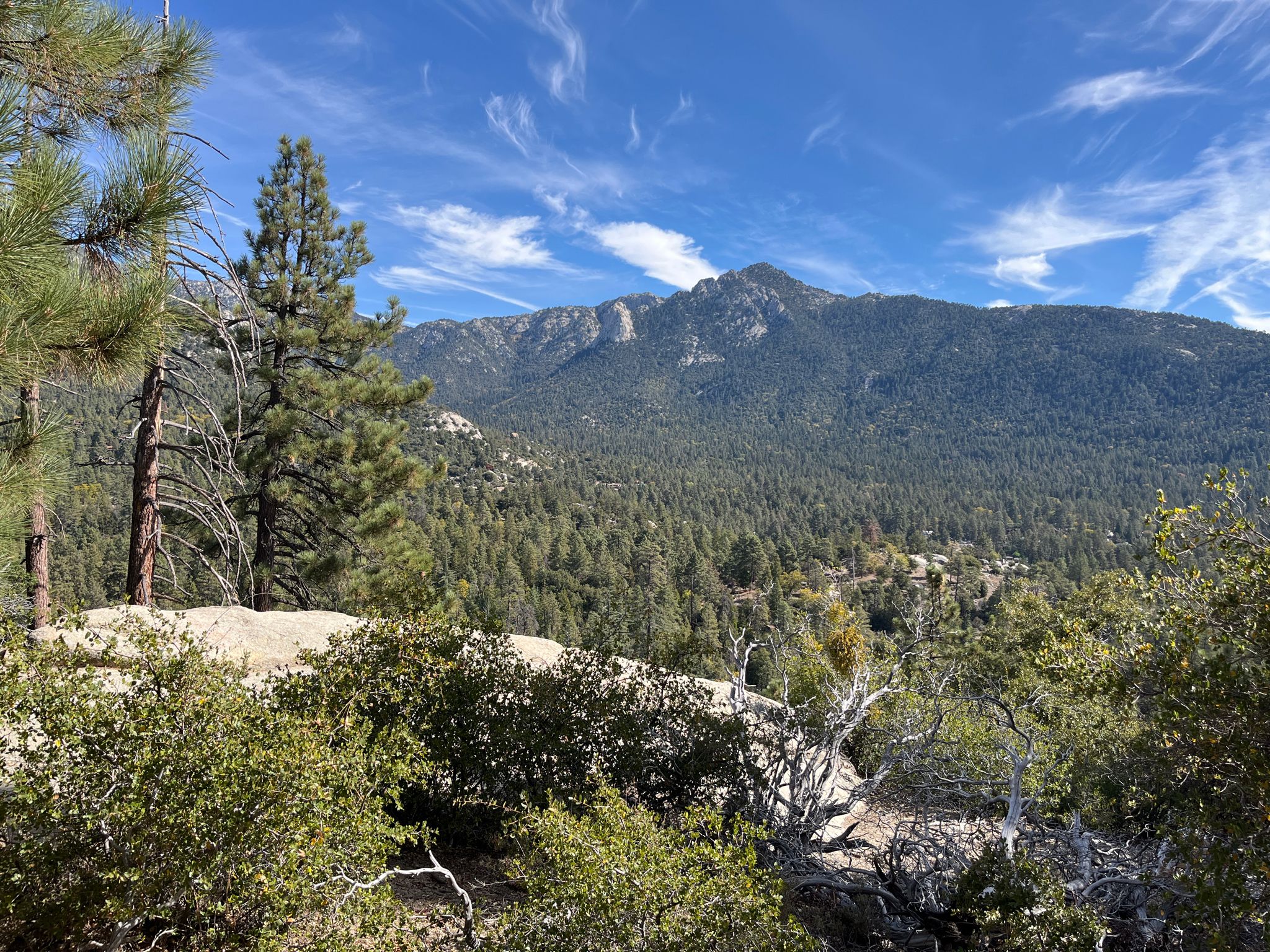 Rugged mountain peak covered in dense forest under a bright blue sky with wispy clouds. - Idyllwild Park South loop
