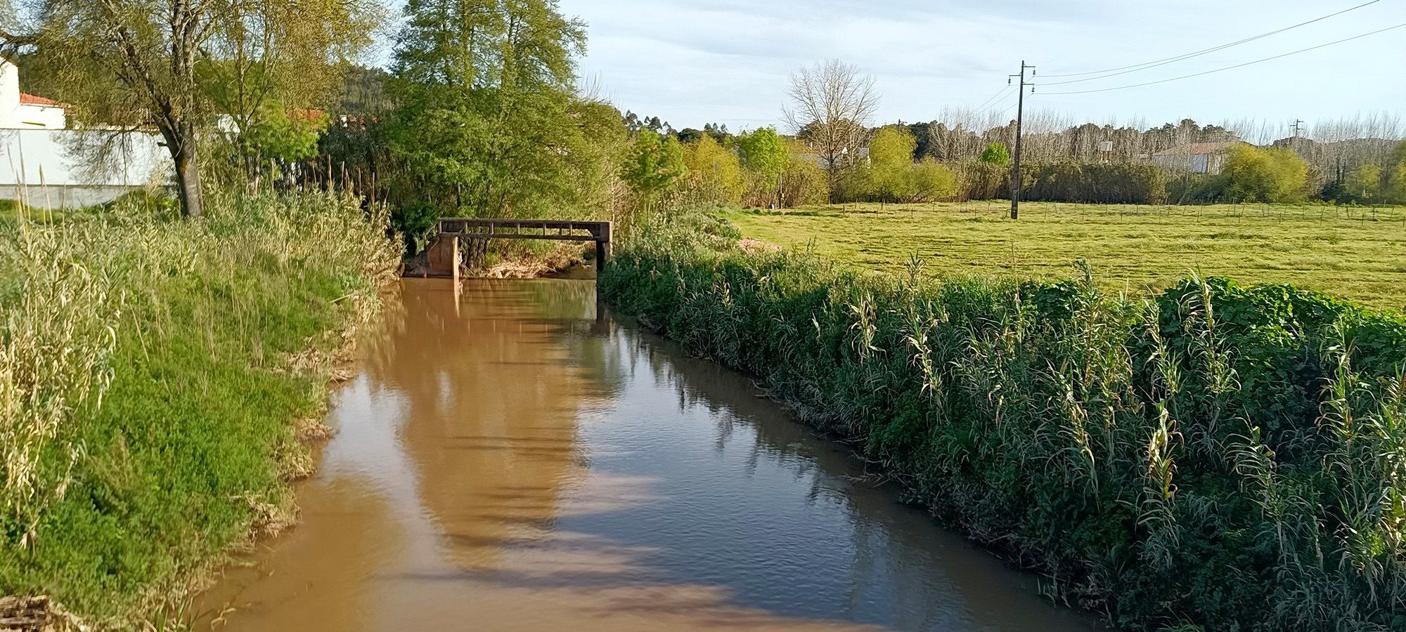 Ribeira de Alcobertas