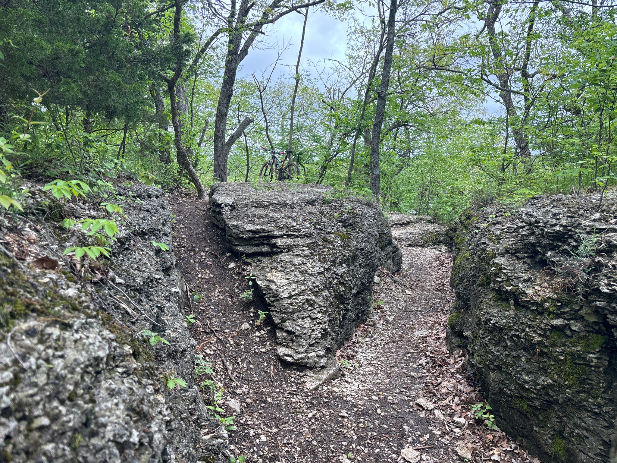 A narrow dirt path winds between large rock formations in a green forest. - Bobcat East Trail