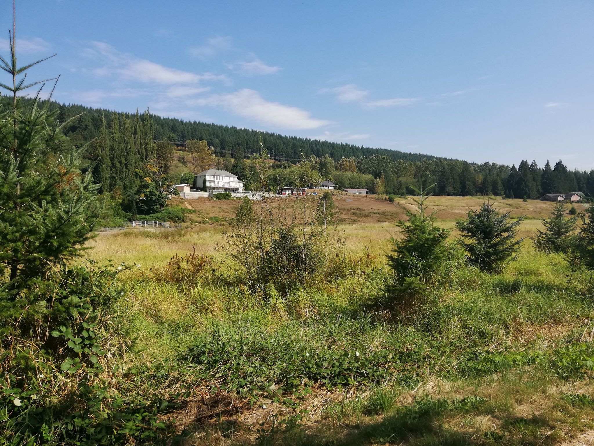 Rural landscape with a house, fields, and evergreen trees under blue sky. - Bryant Lake loop from North Centennial Trail Trailhead