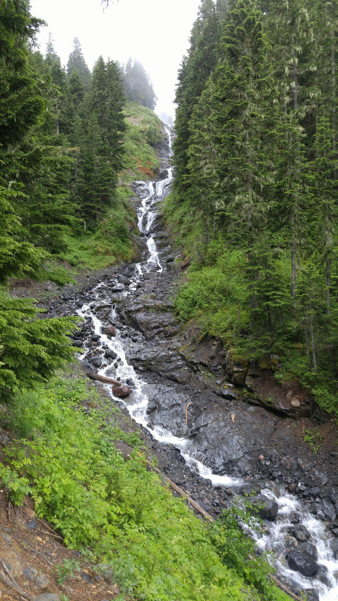 Long, narrow waterfall cascades down a rocky, forested slope on an overcast day. - Mount Baker Summit via Coleman Deming Route
