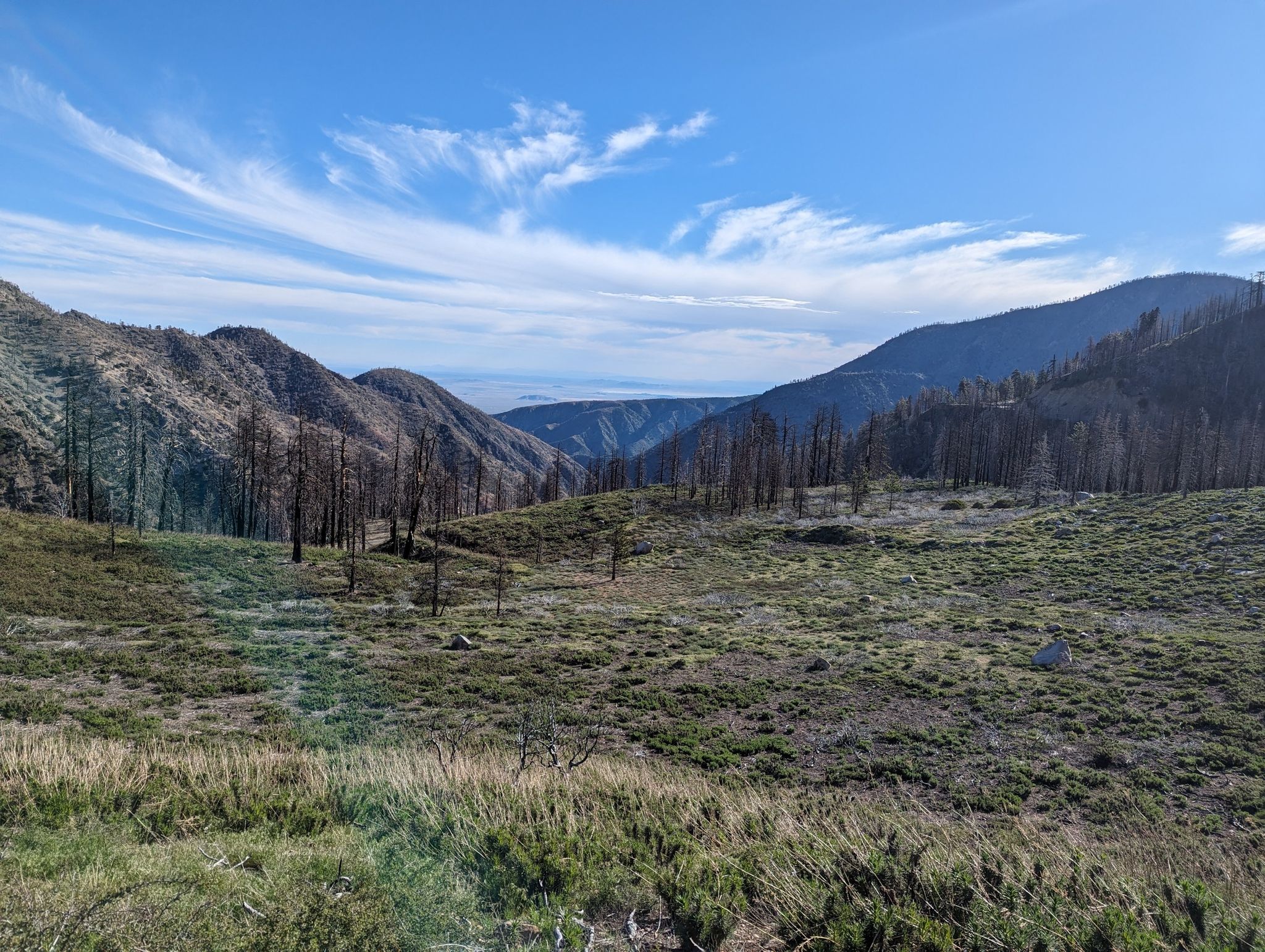 Expansive mountain valley with burnt trees and green undergrowth under a bright sky. - Little Jimmy Campground