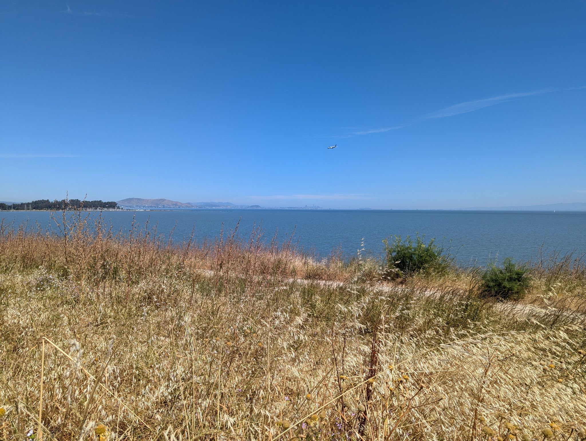 Vast blue bay with dry golden grass in foreground under clear sky. - Gerry Mon Memorial Path – Seal Point Park loop from San Mateo