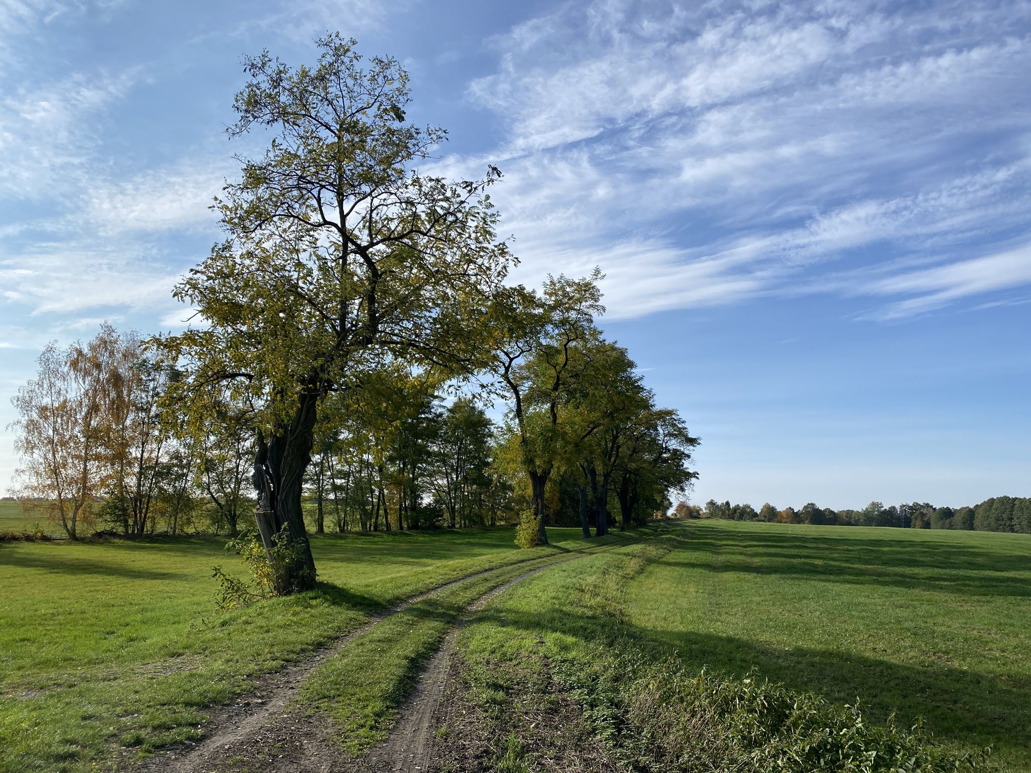 Radeburg: Weg zu den auflässigen Kaolingruben.