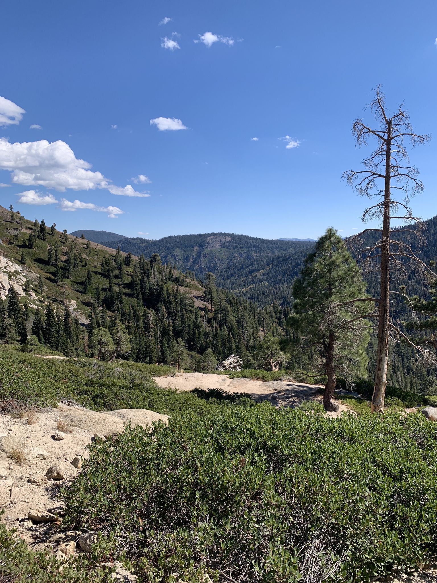 Panoramic view of a vast forested valley and distant mountains under a blue sky. - Five Lakes Trail