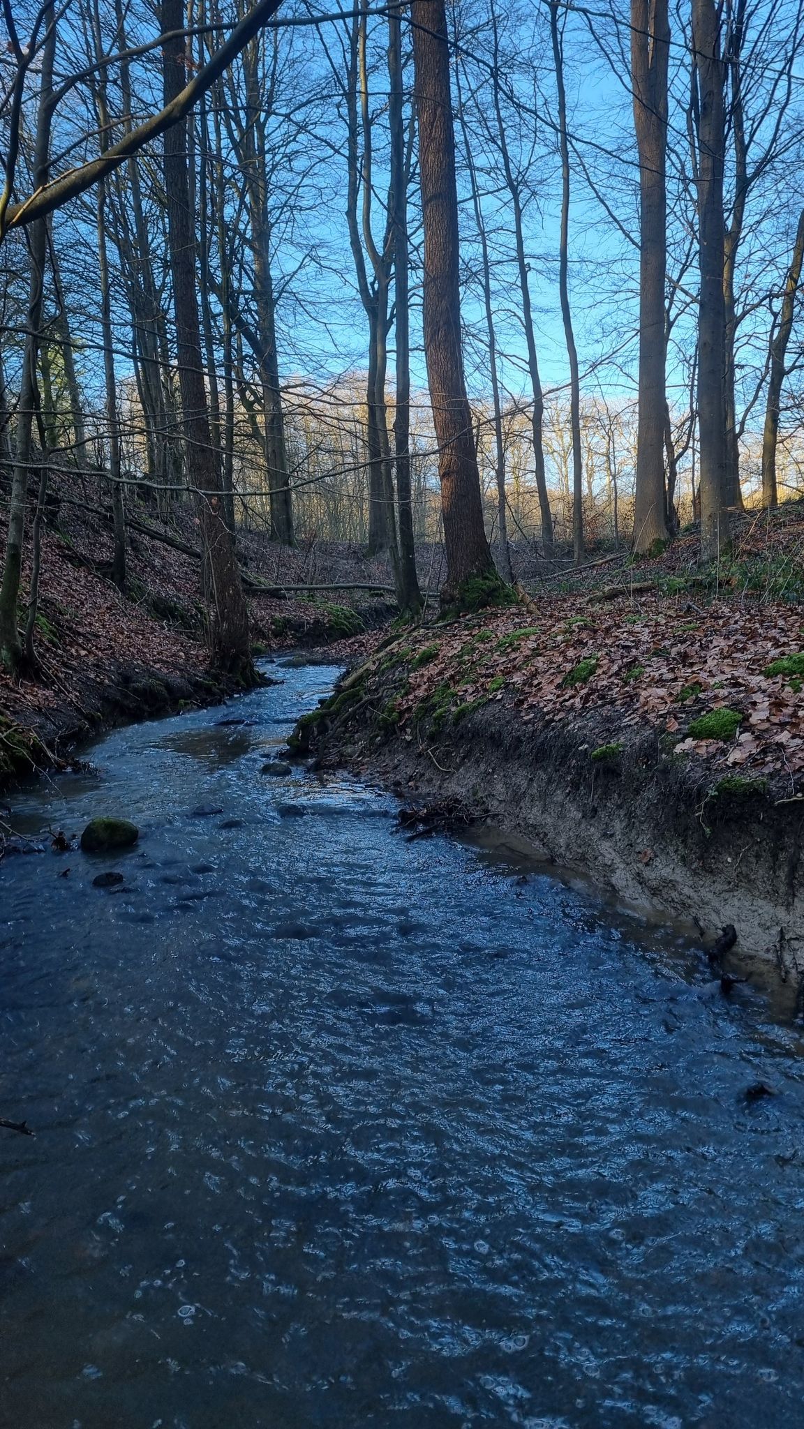 Kurzes Innehalten und dem Fluss des Wassers zugehört 🙏🏻