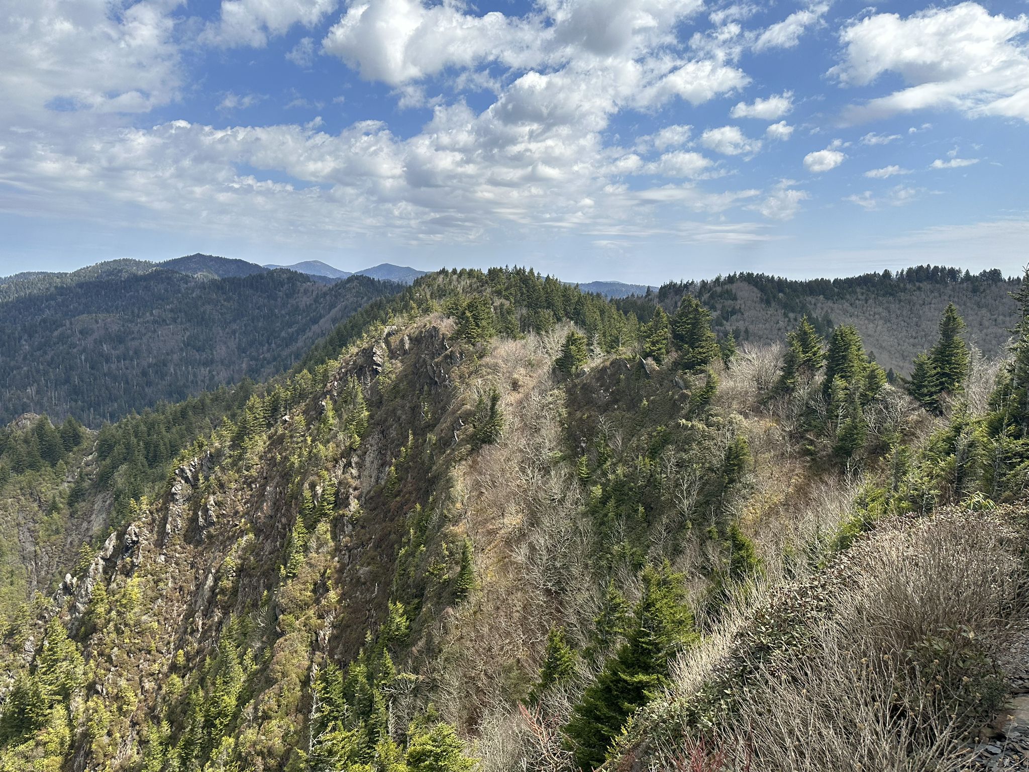 Mountain ridge with evergreen and bare trees under a partly cloudy sky. - Charlies Bunion via Kephart Prong Loop