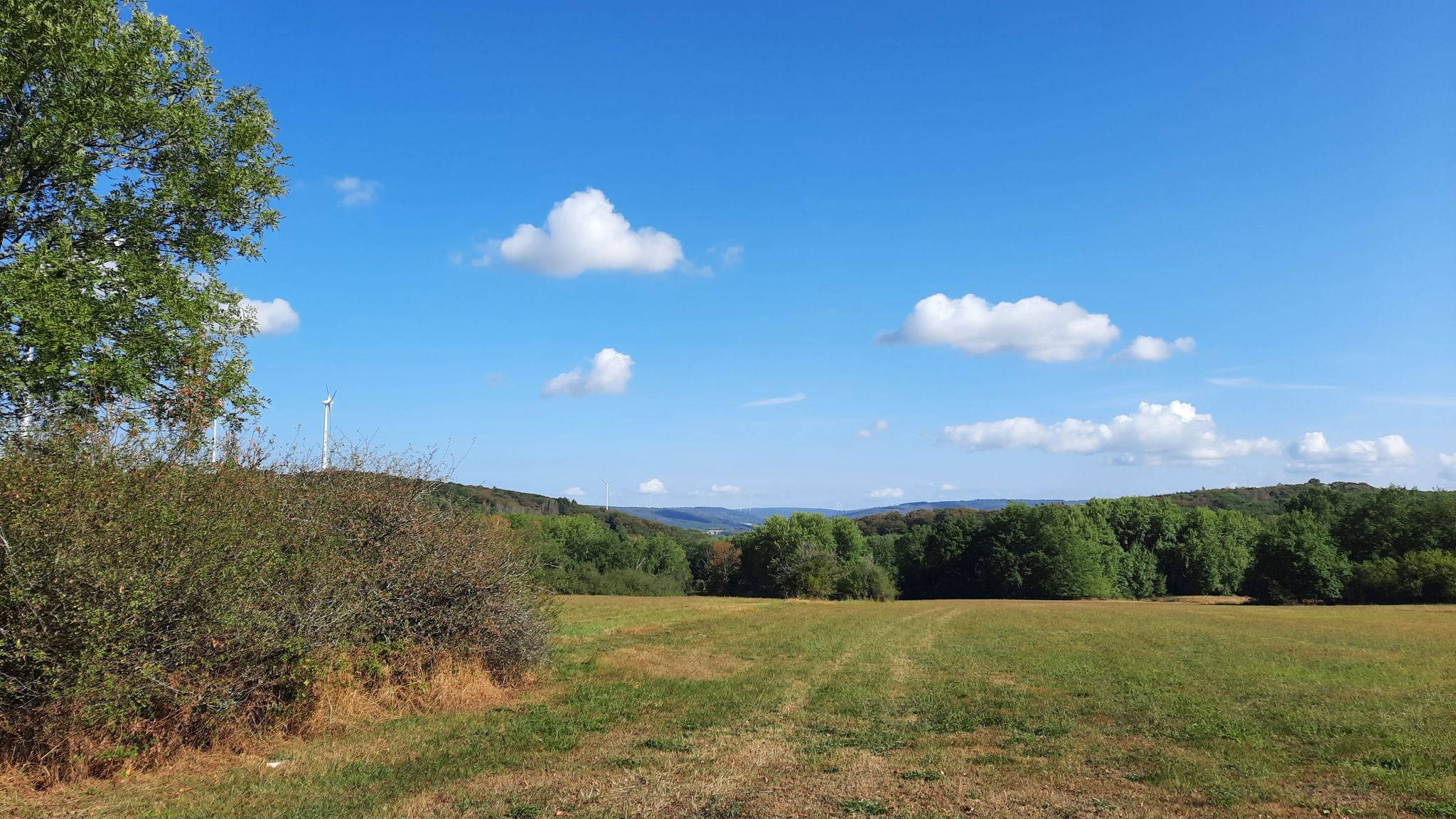 Ausblick am Johannes Kühn Stein