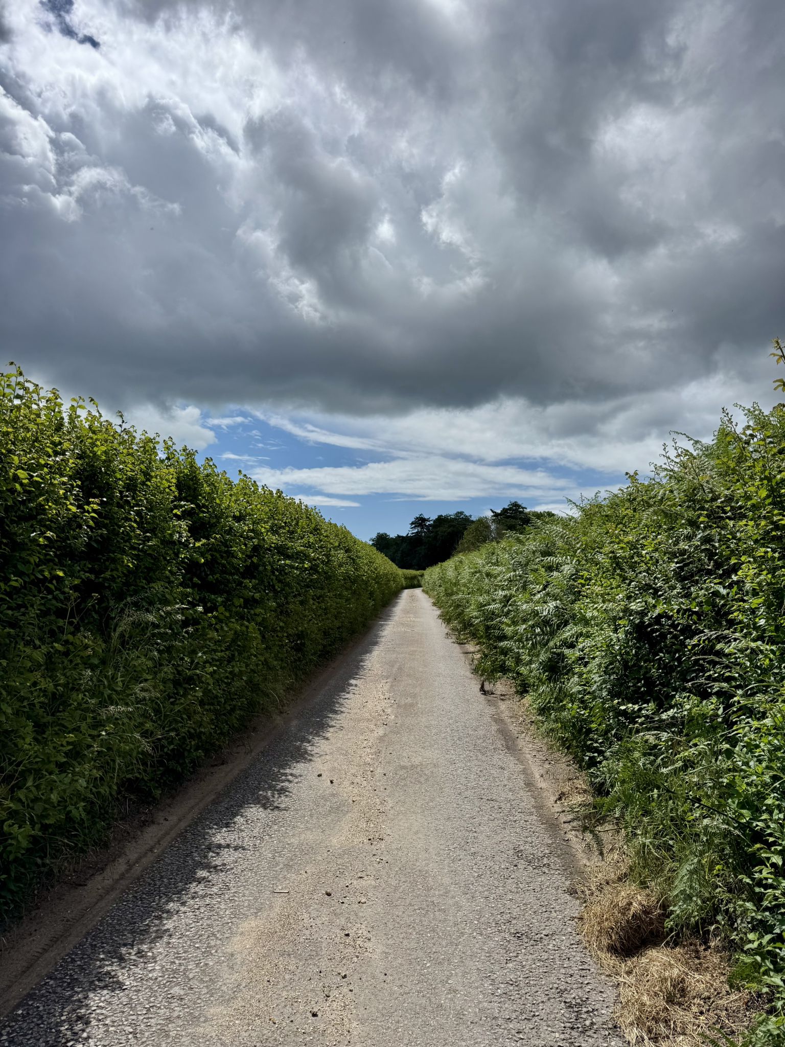 Harpway Lane
