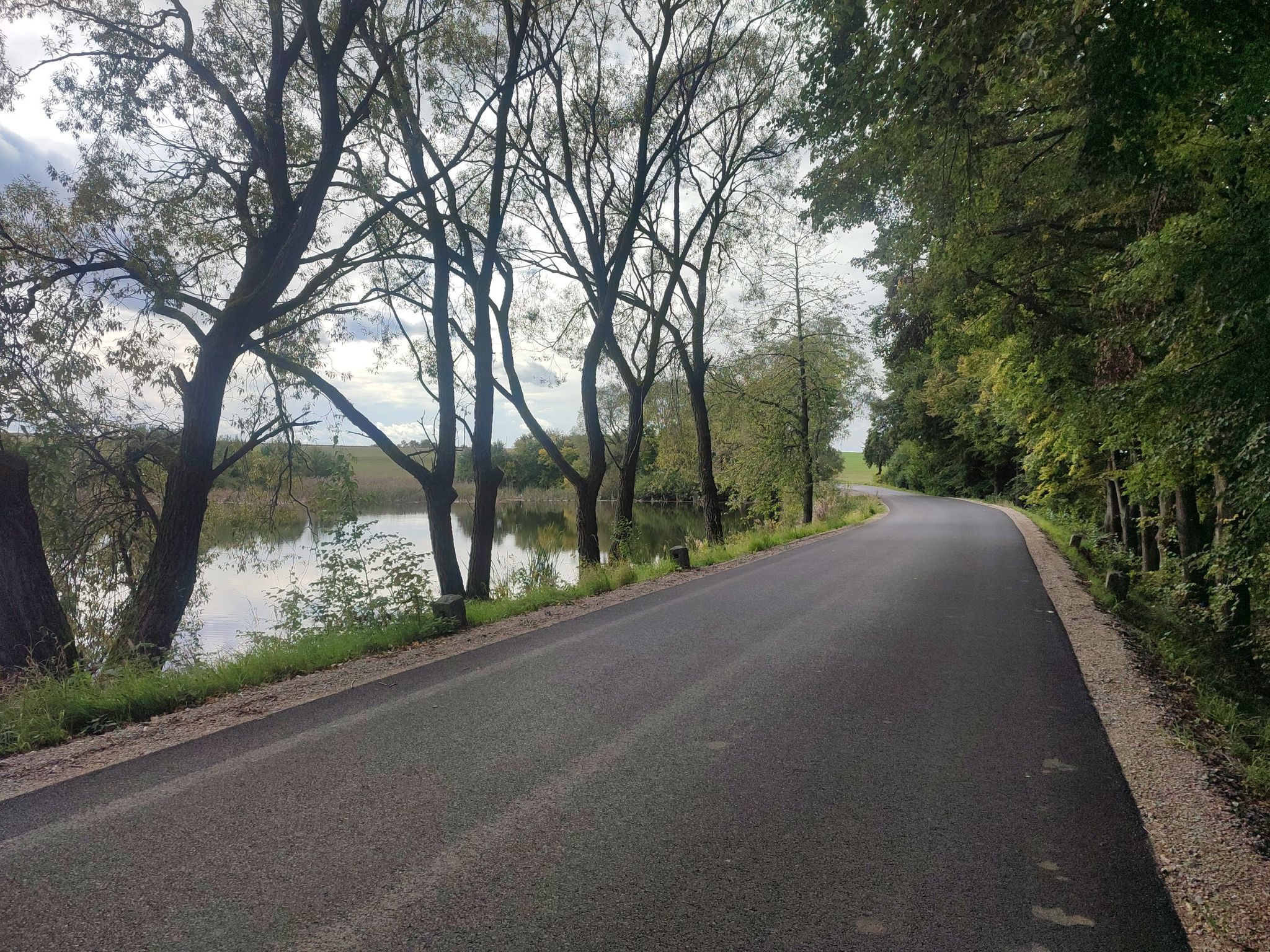kleine Straße, hügelige Landschaft