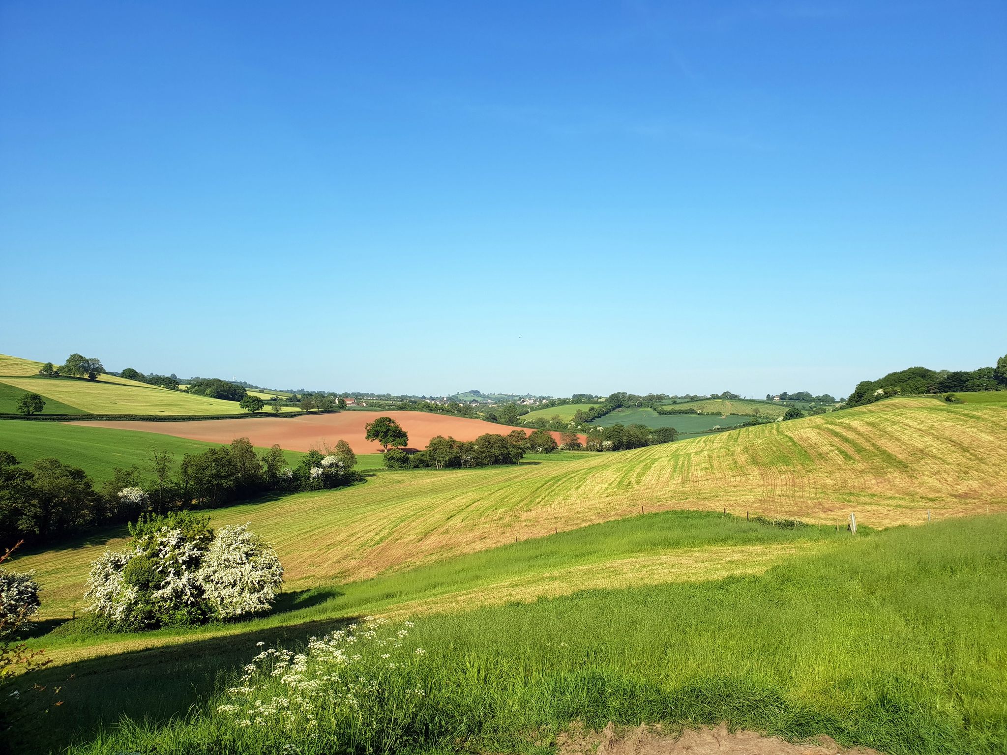 Rolling hills looking towards Farmborough