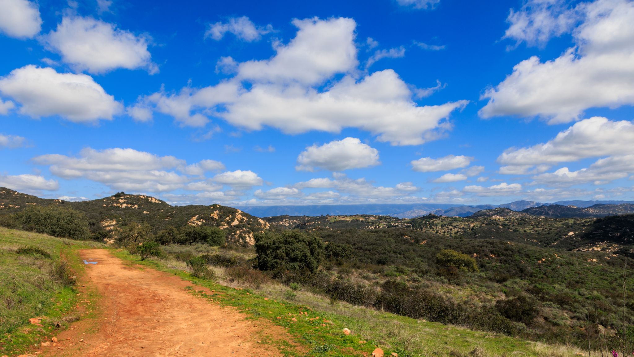 A winding dirt path through green hills under a bright, cloudy sky. - East Ridge and Boulder Loop