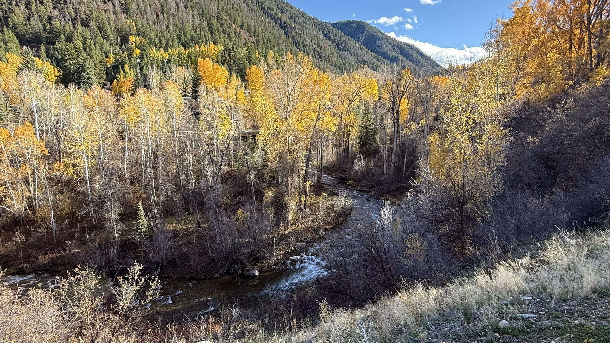 River winding through a valley with bright yellow autumn trees under sunny skies. - Taylor Pass and Richmond Hill Loop