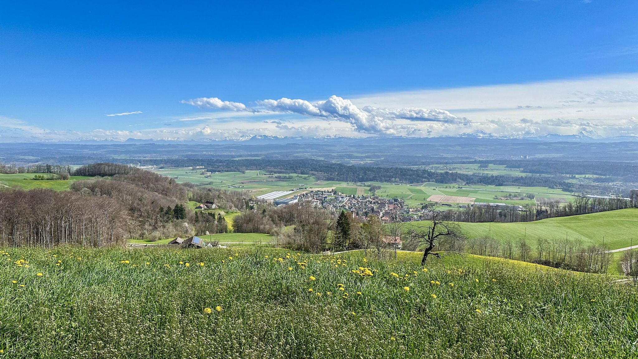 ...Blick auf Oberbipp - liegt tatsächlich neben Niederbipp 🤣🙃...