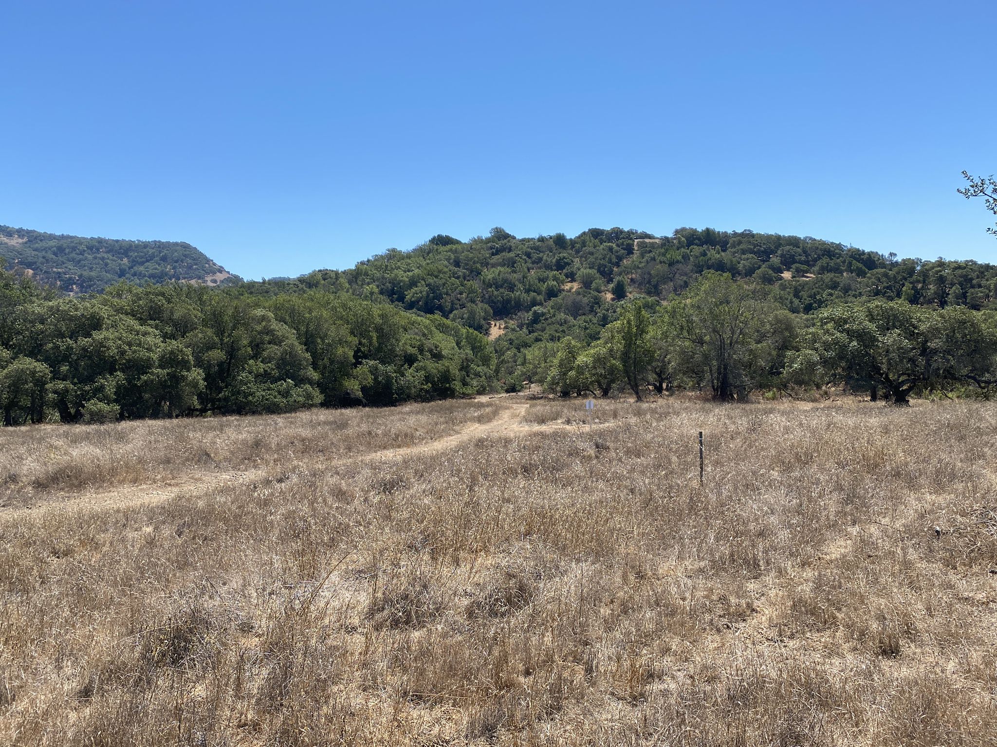 A wide field of dry grass with a dirt path, leading towards green hills and trees. - Lake Marie – Skyline Ridge Trail loop from Napa Valley College