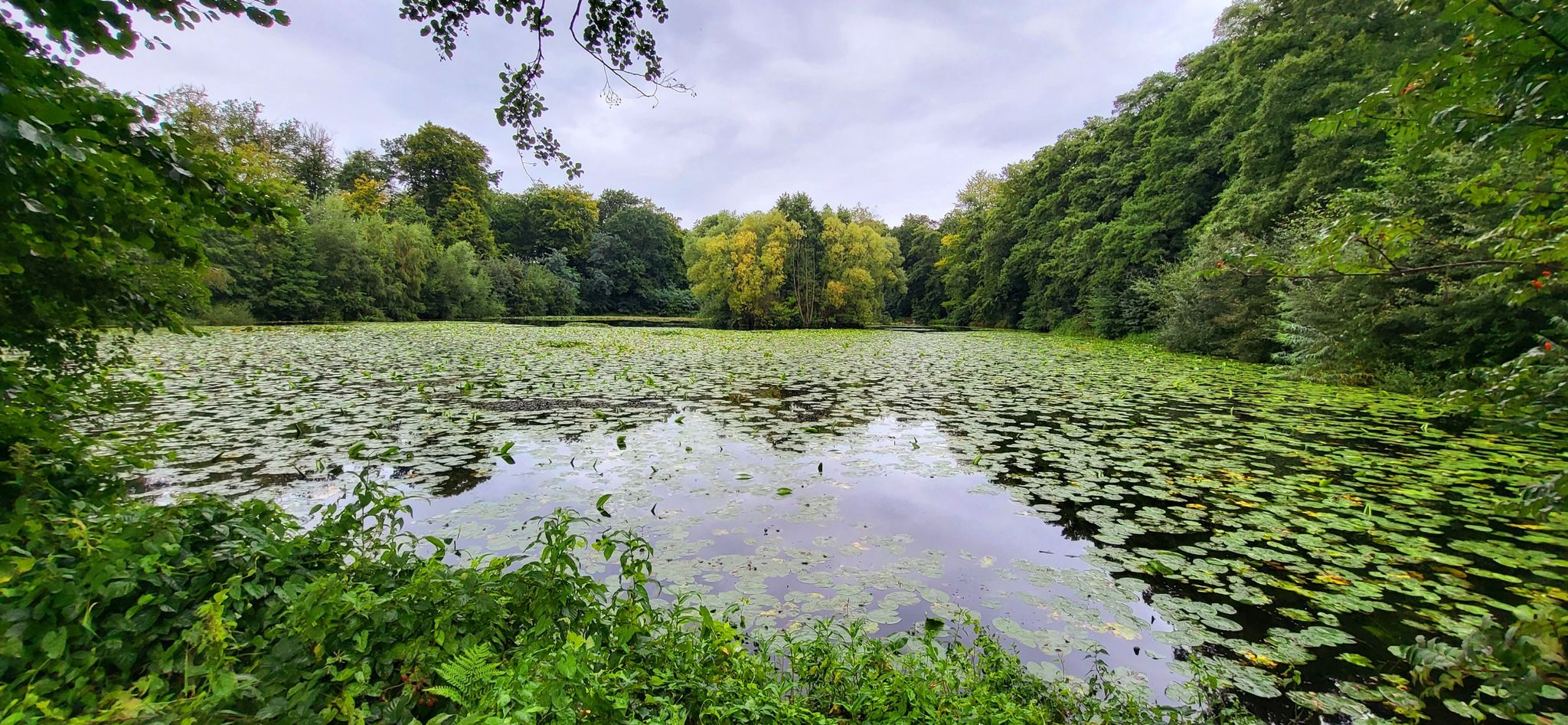 Der Backteich