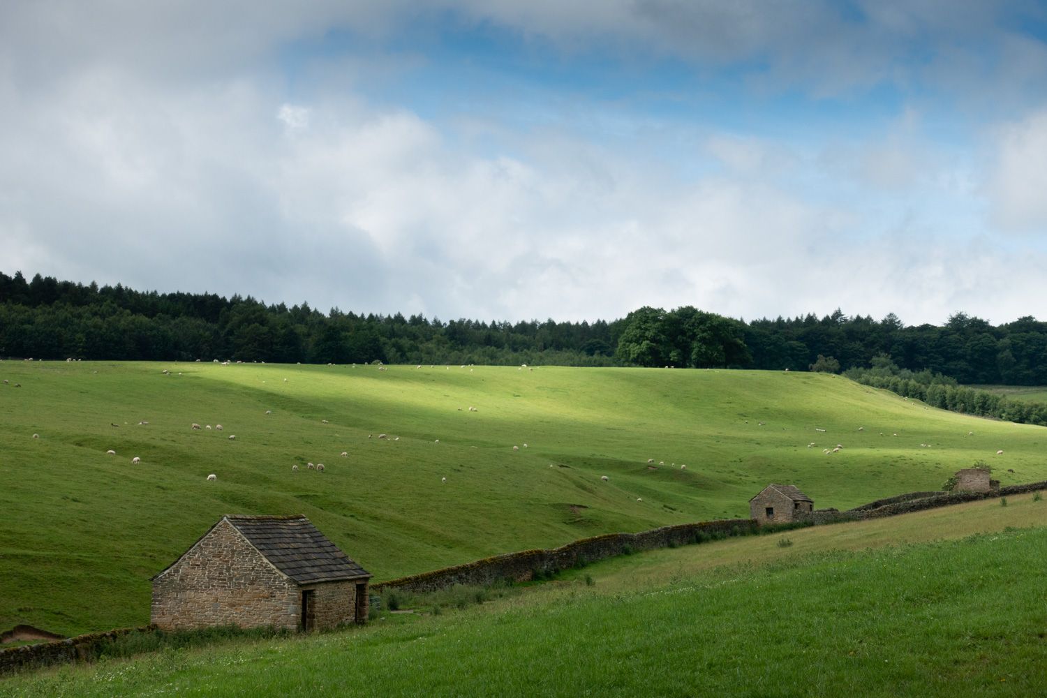 Climb from Edensor towards Bakewell