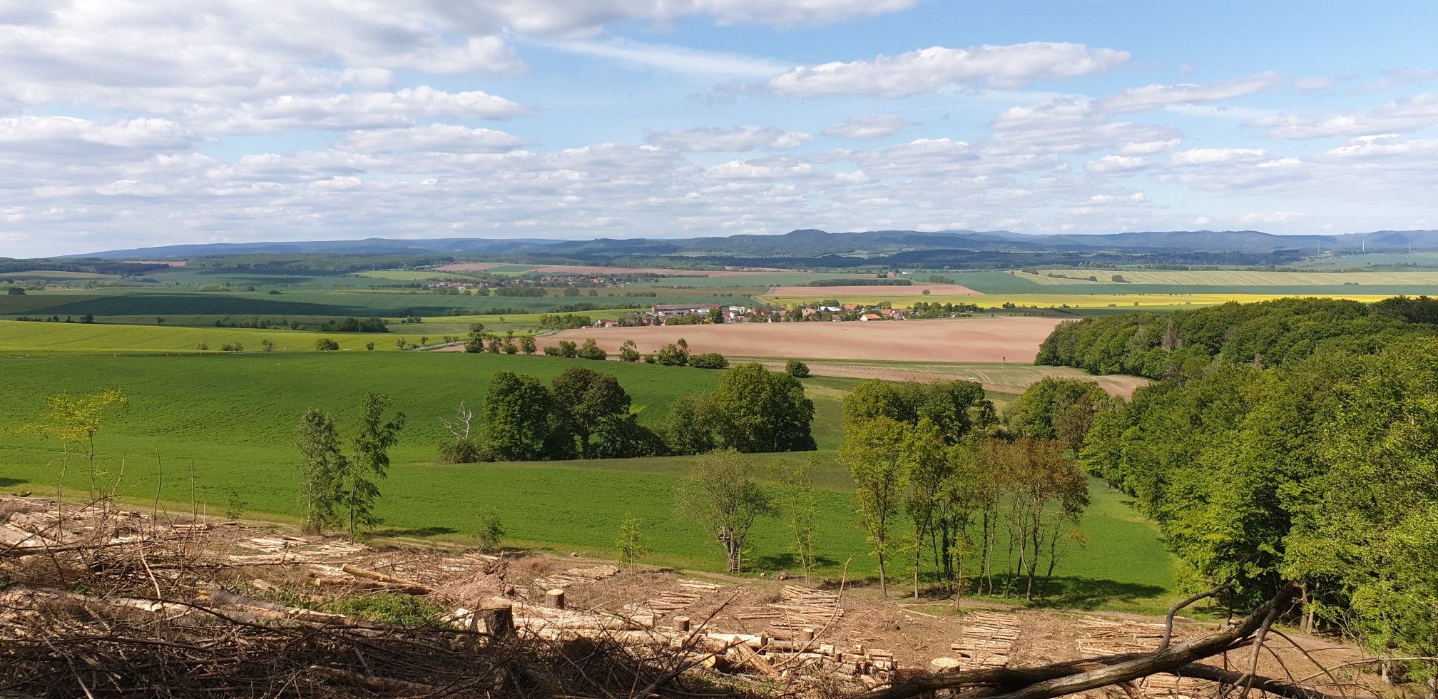 Blick zum Brocken übers Kirchenholz