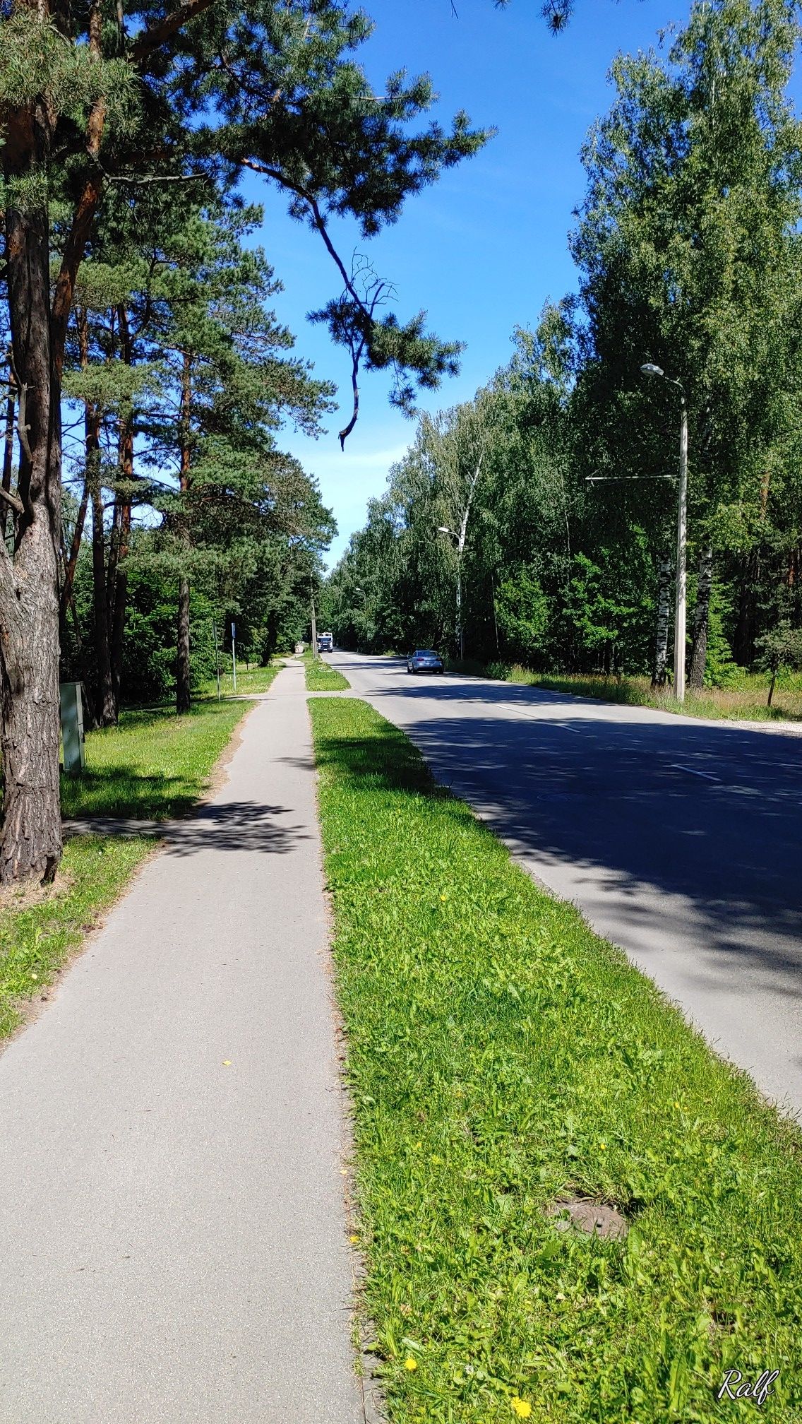 der Weg
