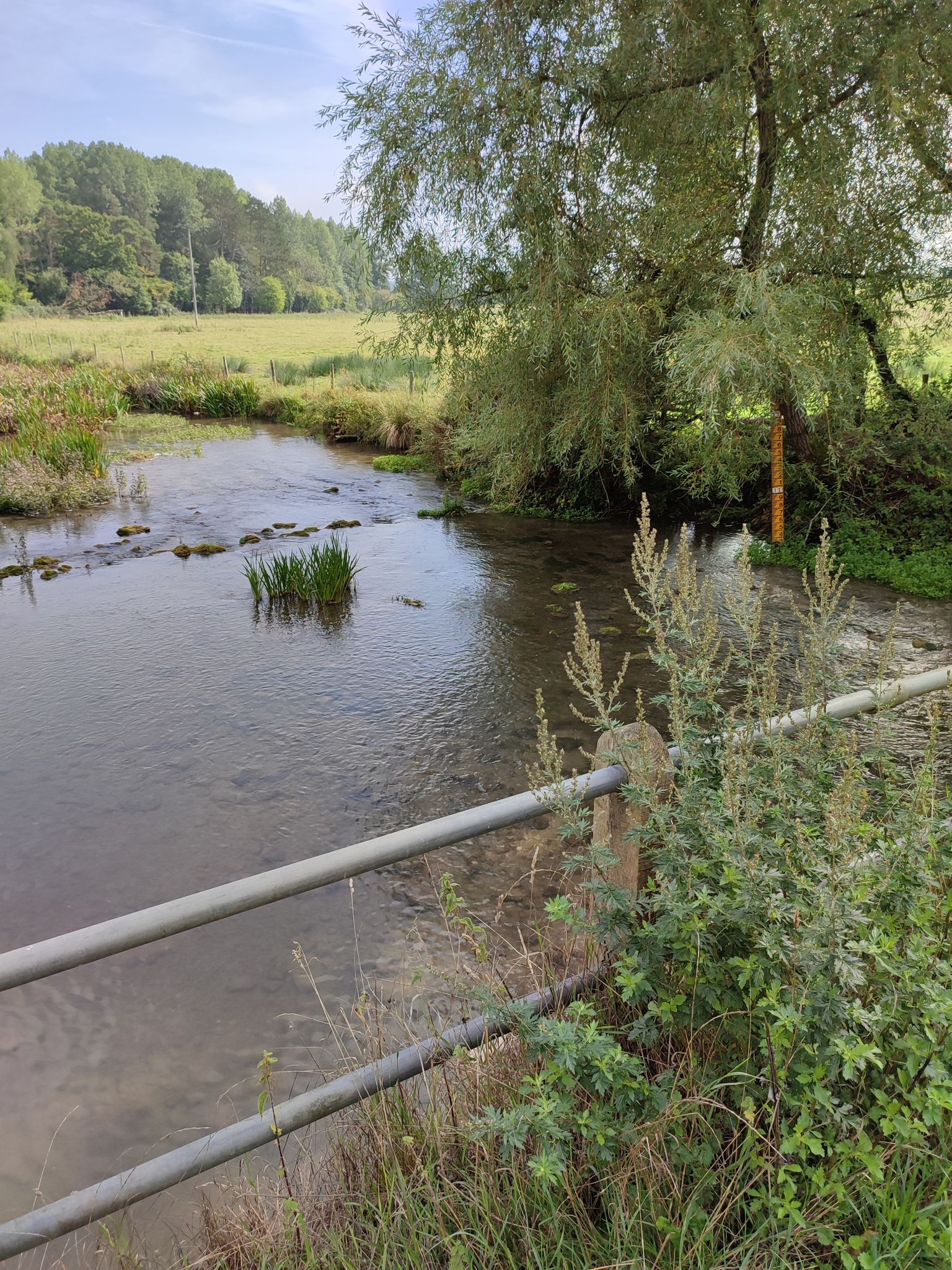 Sherborne Brook