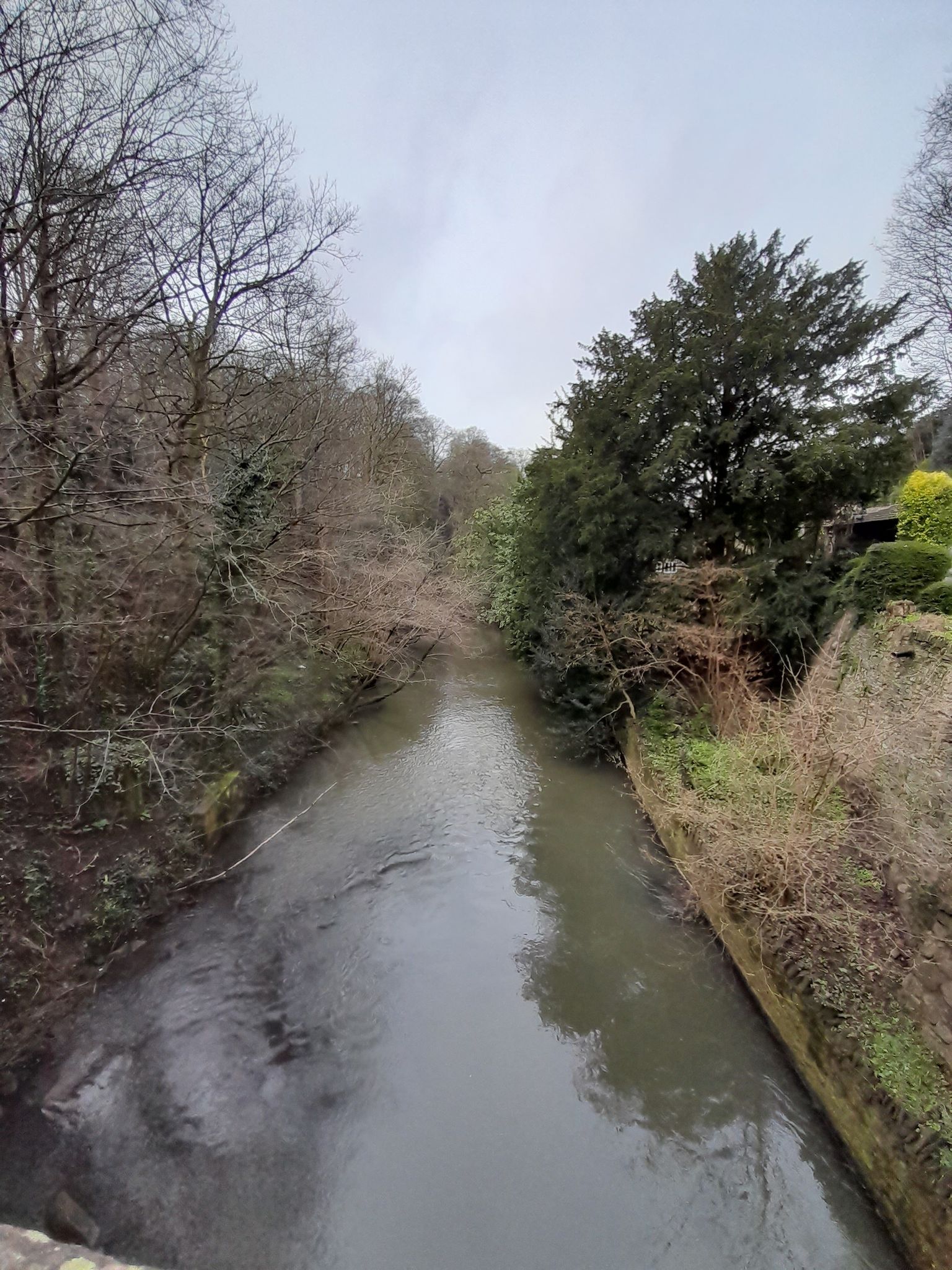 Bridge over the frome